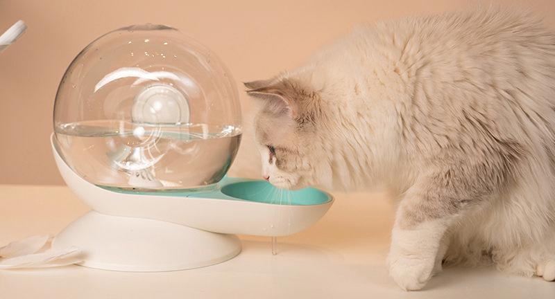 Pet Life ® 'Auto-Myst' Snail Shaped 2-in-1 Automated Gravity Pet Filtered Water Dispenser and Food Bowl - Image 9