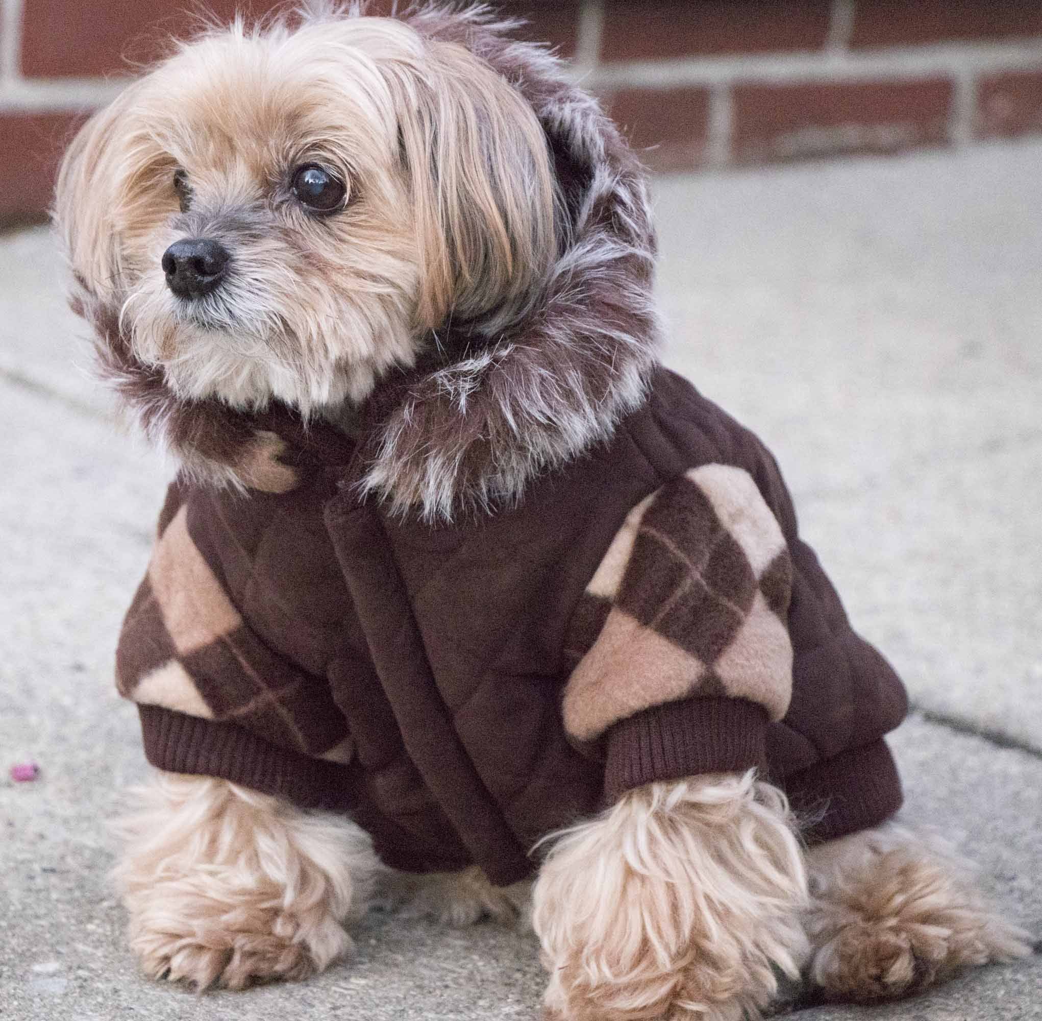 Pet Life ® 'Aygyle Style' 3M Insulated Designer Patterned Suede Dog Coat w/ Removable Hood - Image 5