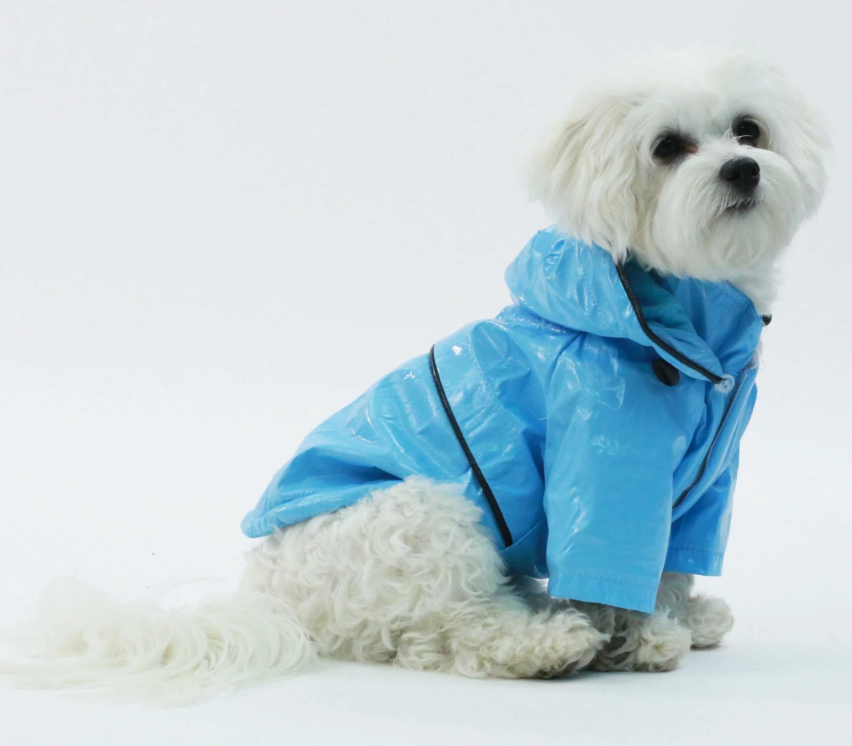 Pet Life ® 'Baby Blue' Waterproof Adjustable Dog Raincoat Jacket w/ Removable Hood - Image 2