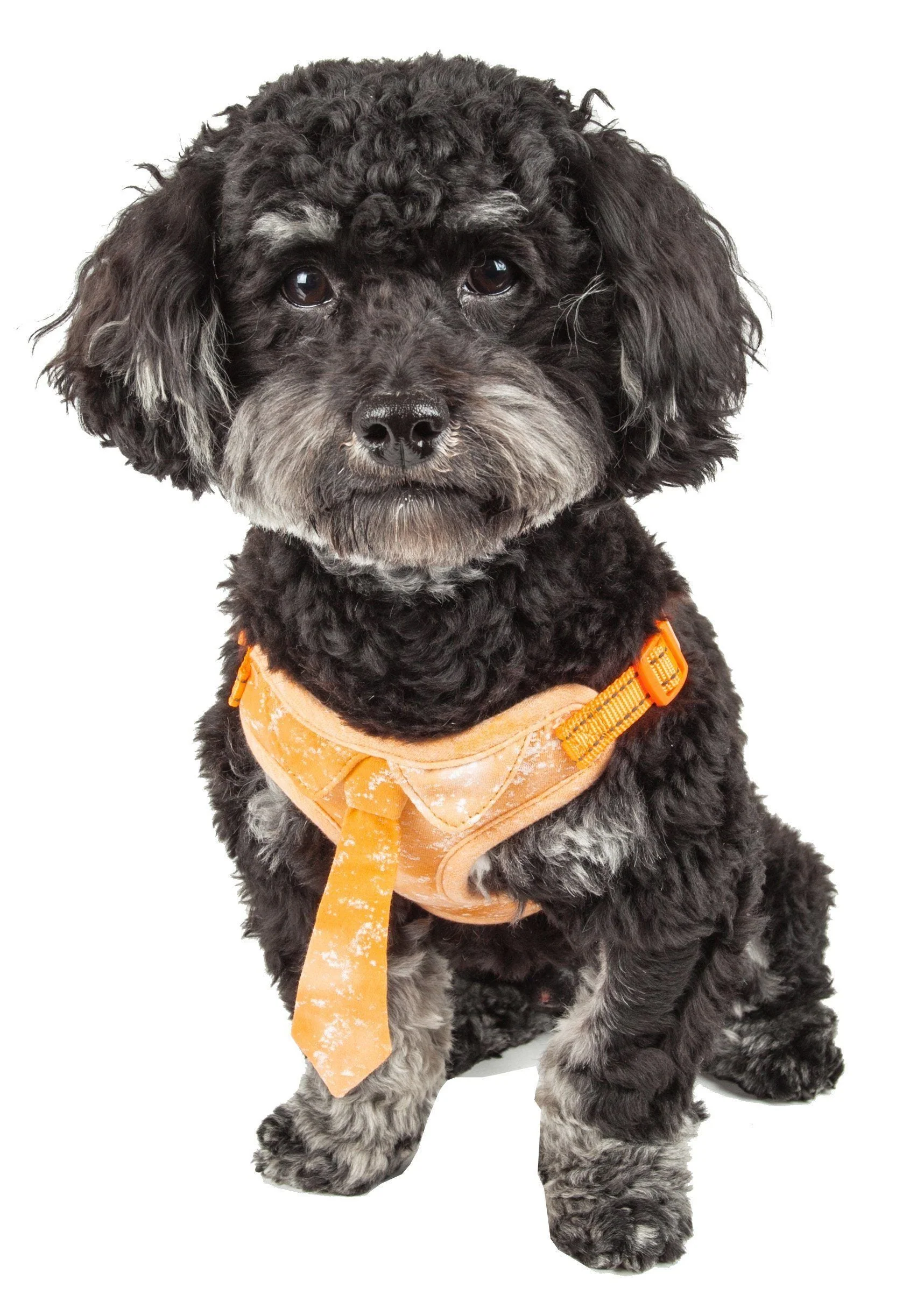 Pet Life ®  'Bonatied' Mesh Reversed Adjustable Fashion Dog Harness W/ Designer Neck Tie - Image 2