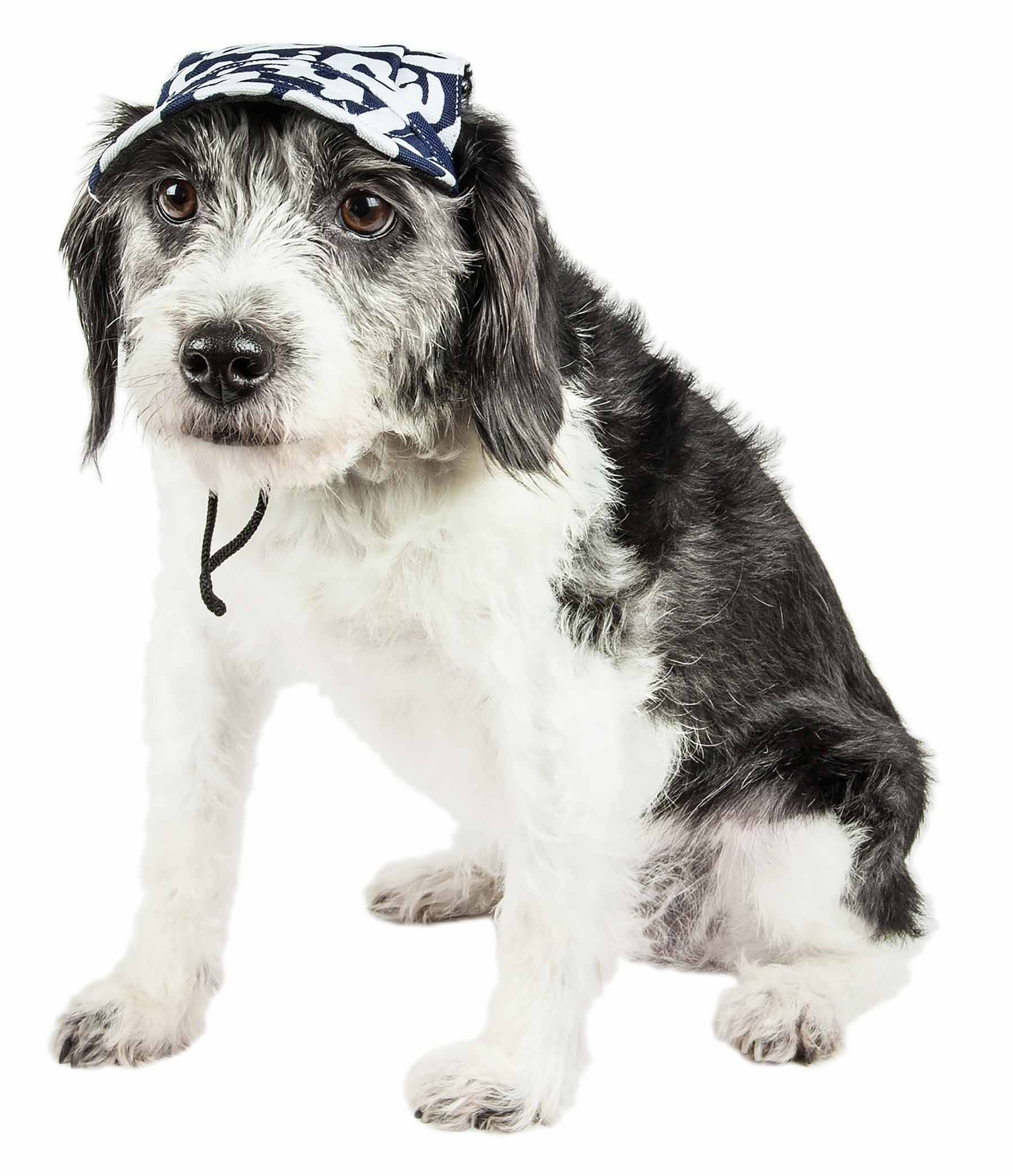 Pet Life ®  'Bone Cappa' Graffiti Sculptured Uv Protectant Adjustable Fashion Dog Hat Cap - Image 5