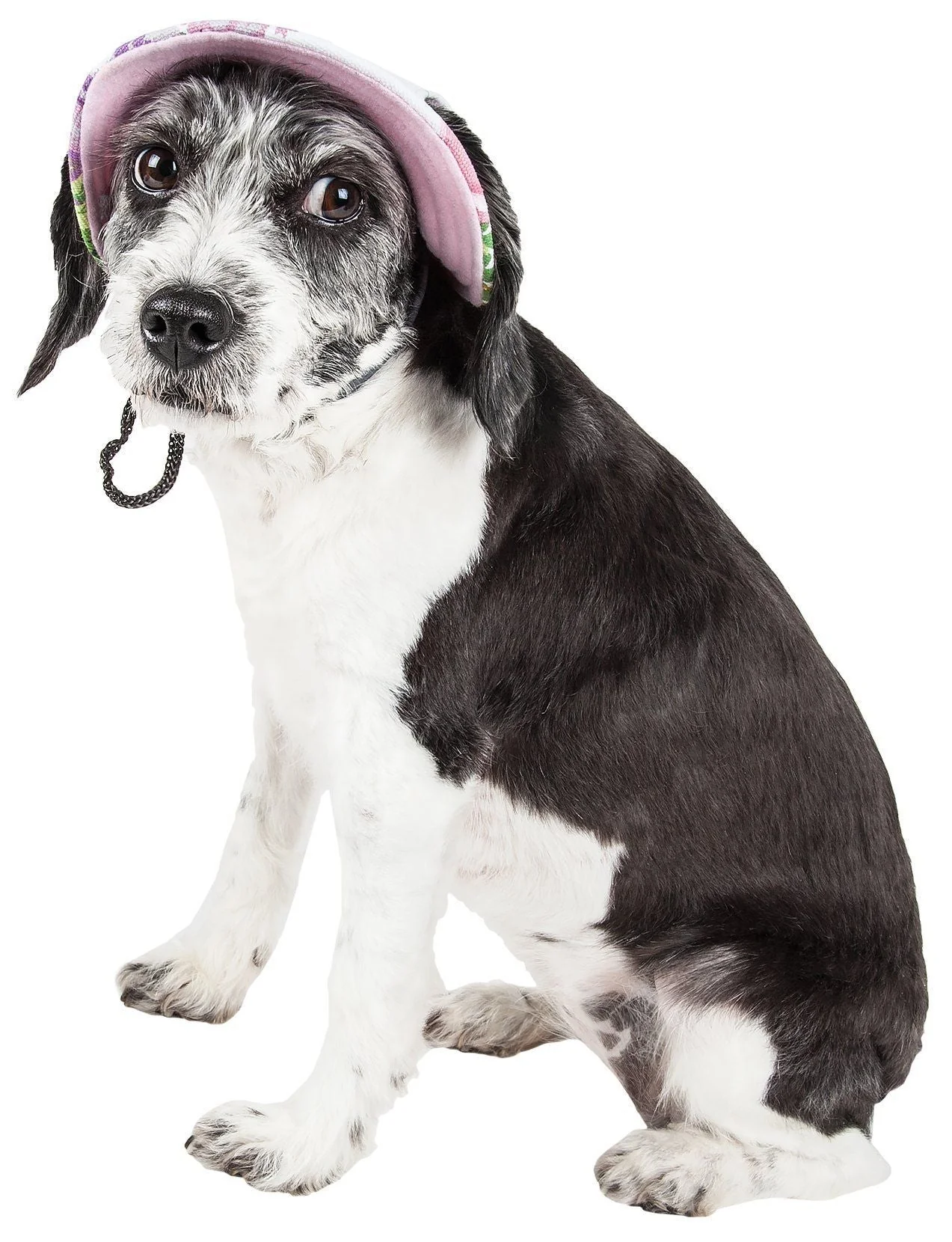 Pet Life ®  'Botanic Bark' Floral UV Protectant Adjustable Fashion Canopy Brimmed Dog Hat Cap - Image 3
