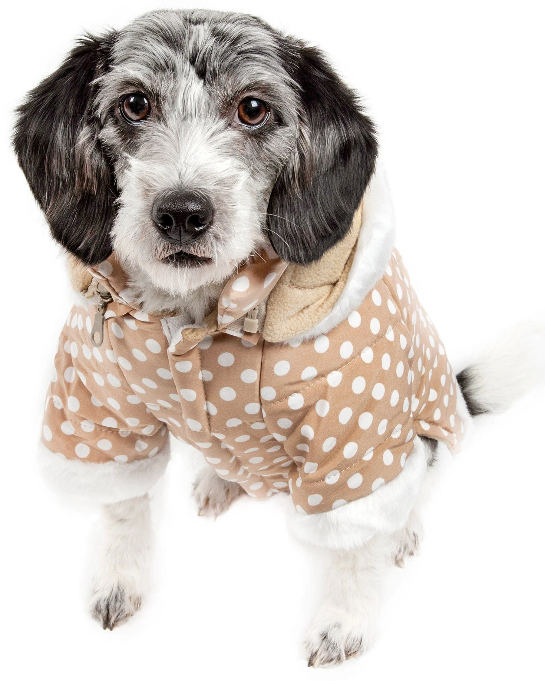 Pet Life ® 'Bow-Couture' Polka-Dot Bowed Insulated Dog Sweater Jacket - Image 3