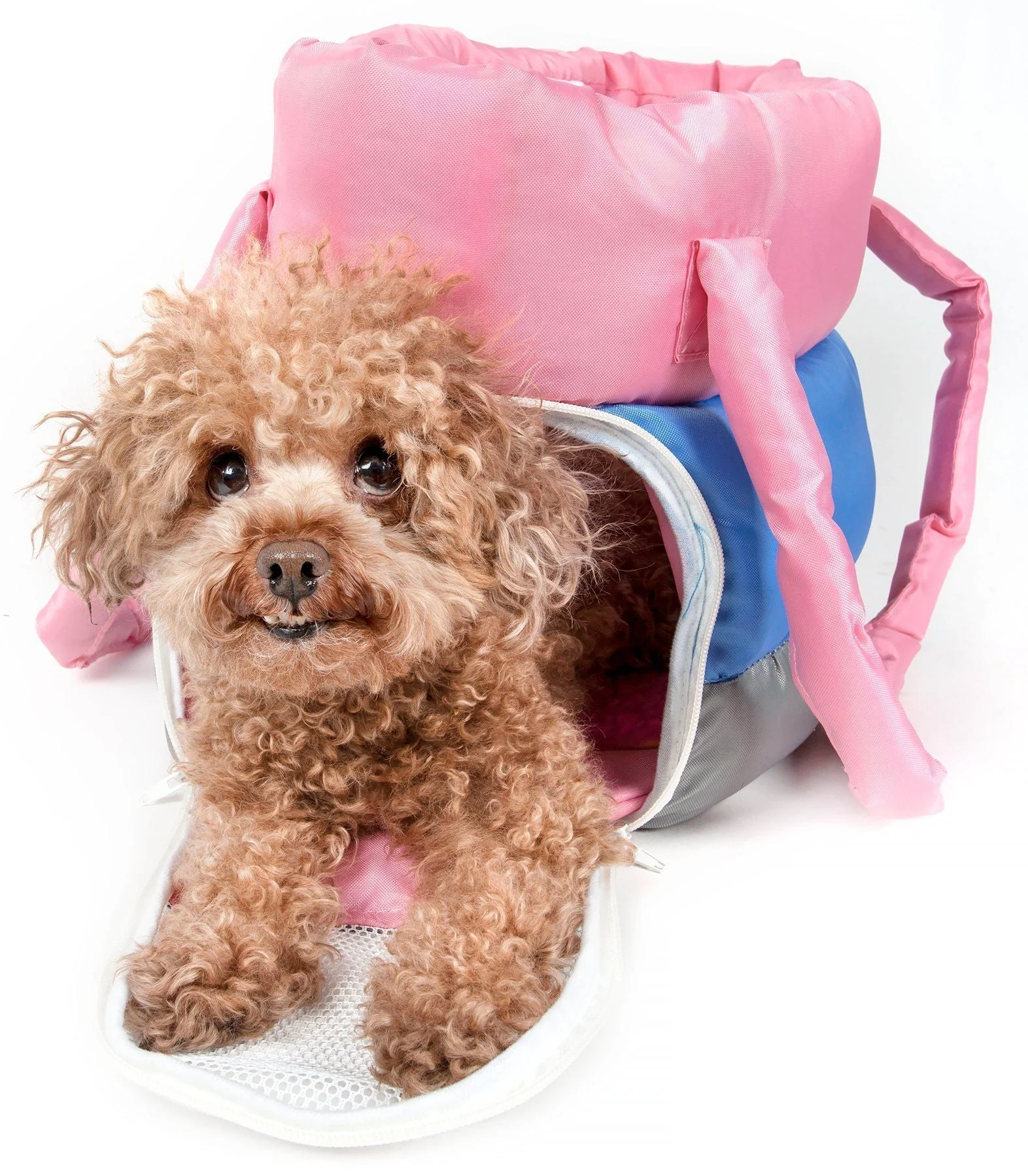 Pet Life ® 'Bubble-Poly' Tri-Colored Winter Insulated Fashion Designer Pet Dog Carrier - Image 5