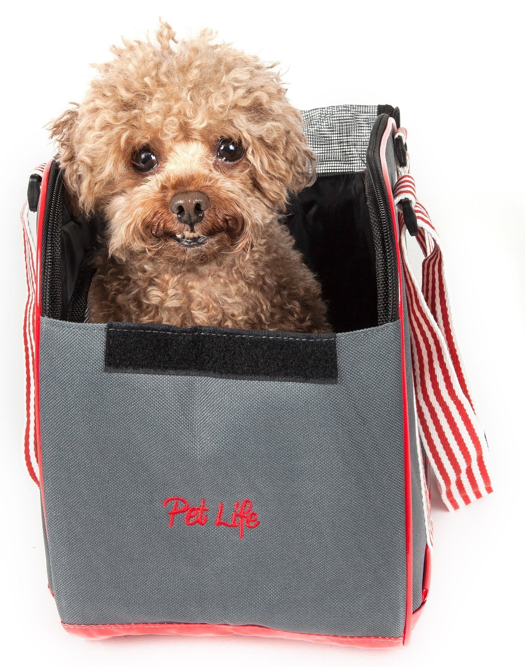Pet Life ® 'Candy Cane' striped Fashion Designer Travel Pet Dog Carrier - Image 2