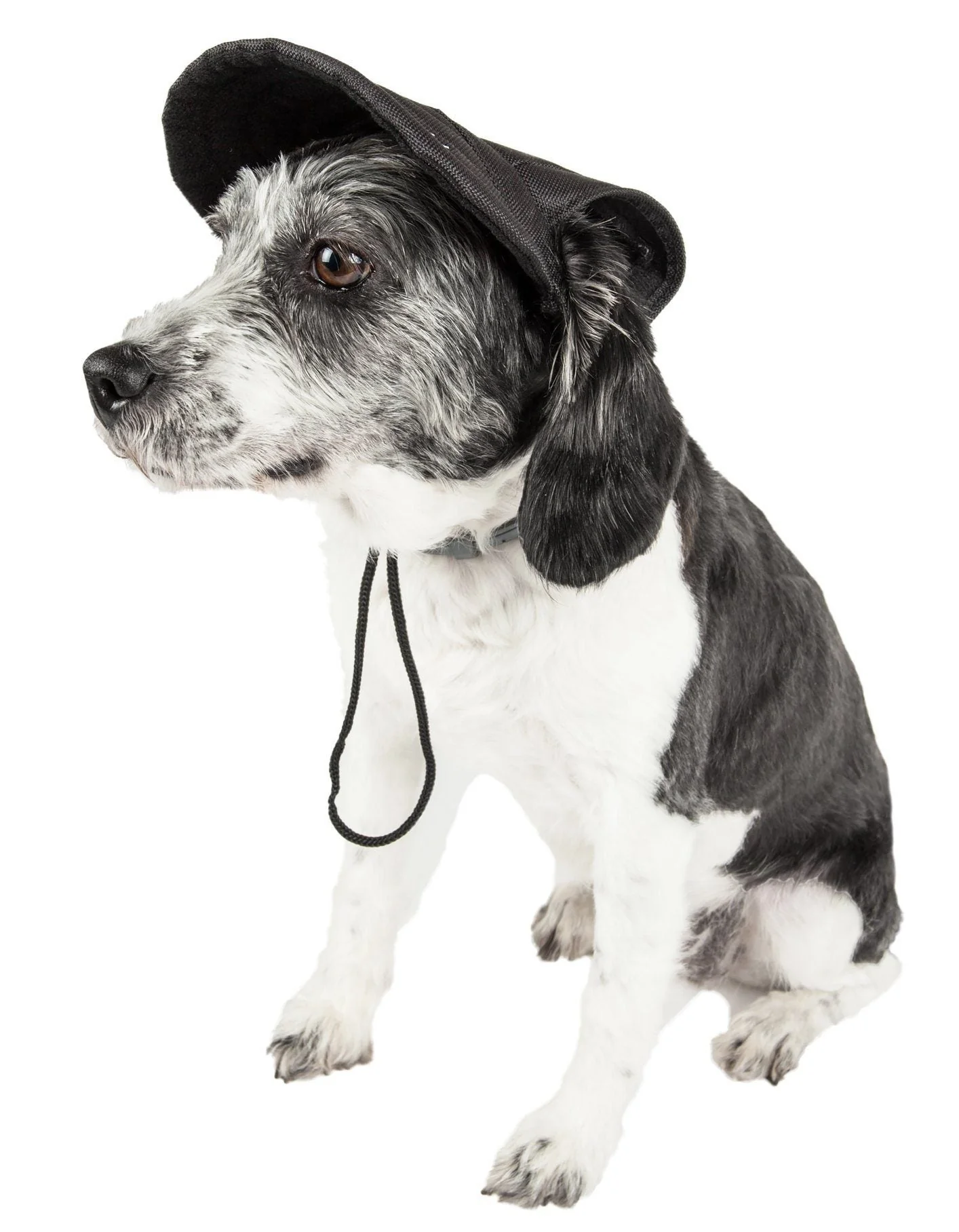 Pet Life ®  'Cap-Tivating' UV Protectant Adjustable Fashion Dog Hat Cap - Image 11