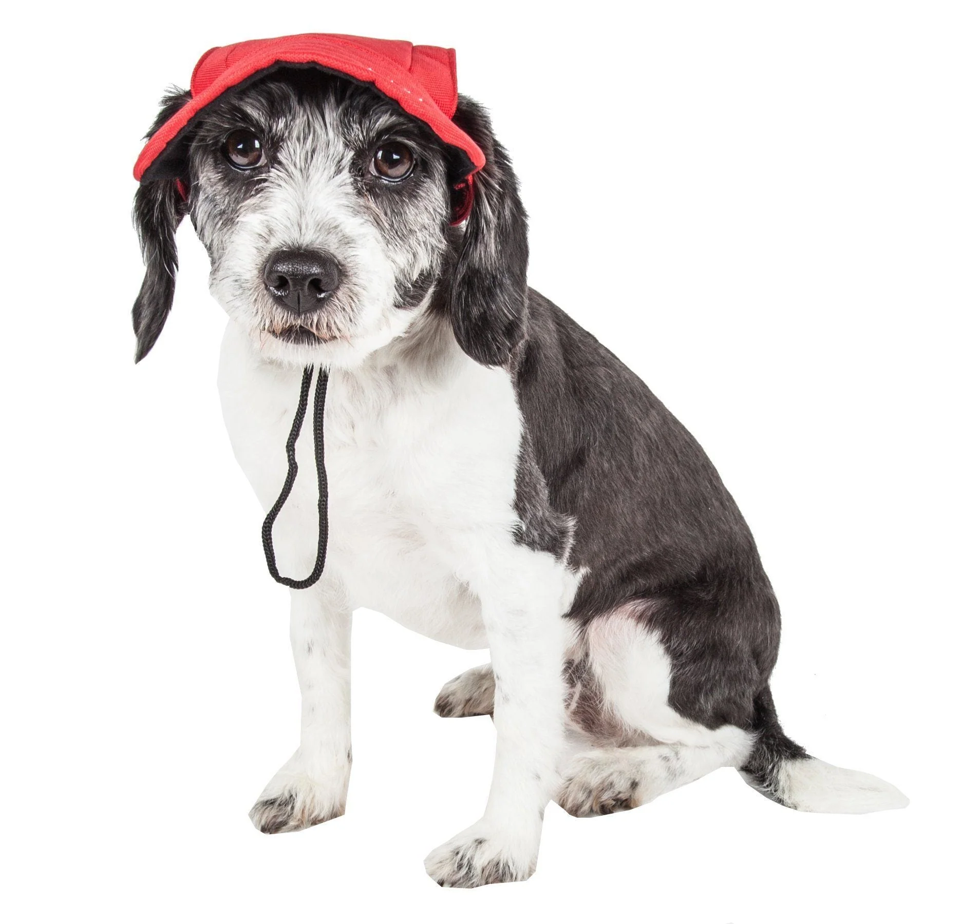 Pet Life ®  'Cap-Tivating' UV Protectant Adjustable Fashion Dog Hat Cap - Image 12