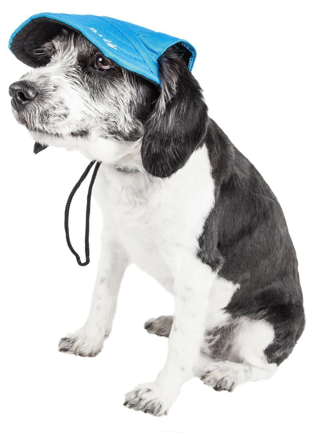 Pet Life ®  'Cap-Tivating' UV Protectant Adjustable Fashion Dog Hat Cap - Image 13