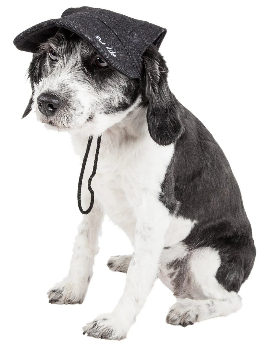 Pet Life ®  'Cap-Tivating' UV Protectant Adjustable Fashion Dog Hat Cap - Image 14