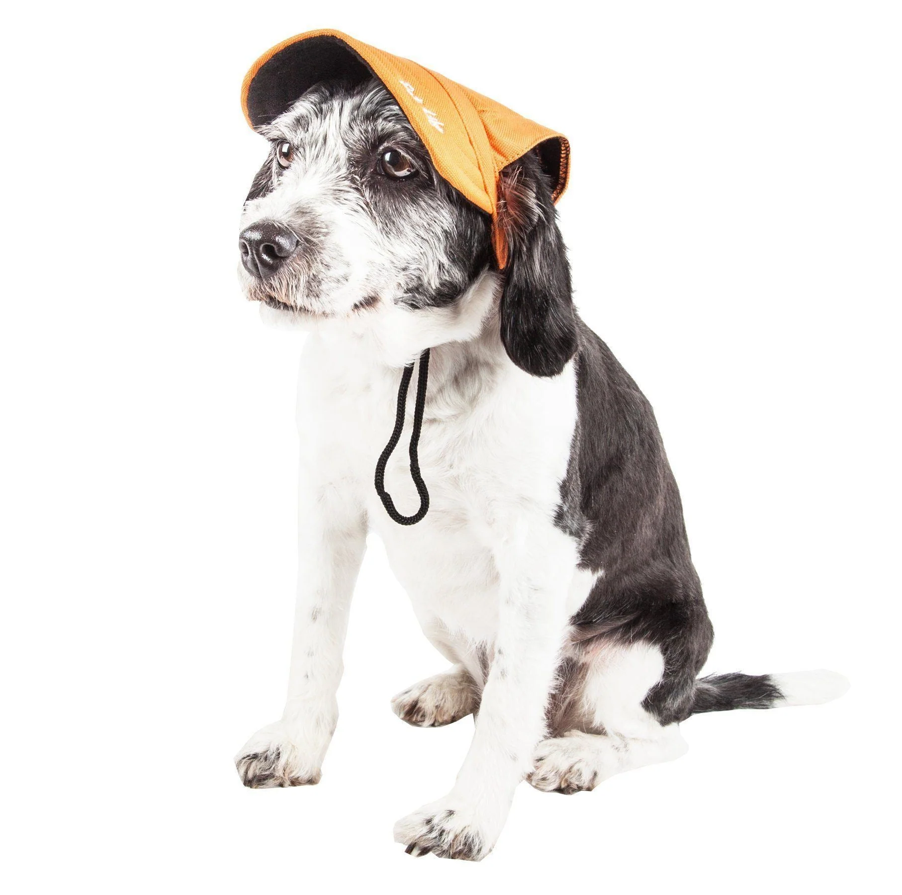 Pet Life ®  'Cap-Tivating' UV Protectant Adjustable Fashion Dog Hat Cap - Image 15