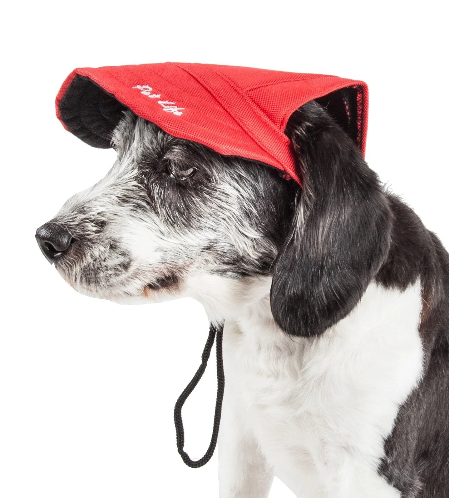 Pet Life ®  'Cap-Tivating' UV Protectant Adjustable Fashion Dog Hat Cap - Image 2
