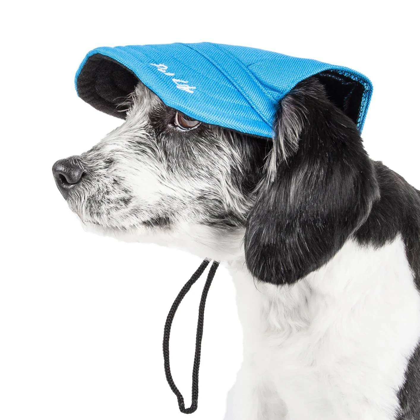 Pet Life ®  'Cap-Tivating' UV Protectant Adjustable Fashion Dog Hat Cap - Image 3