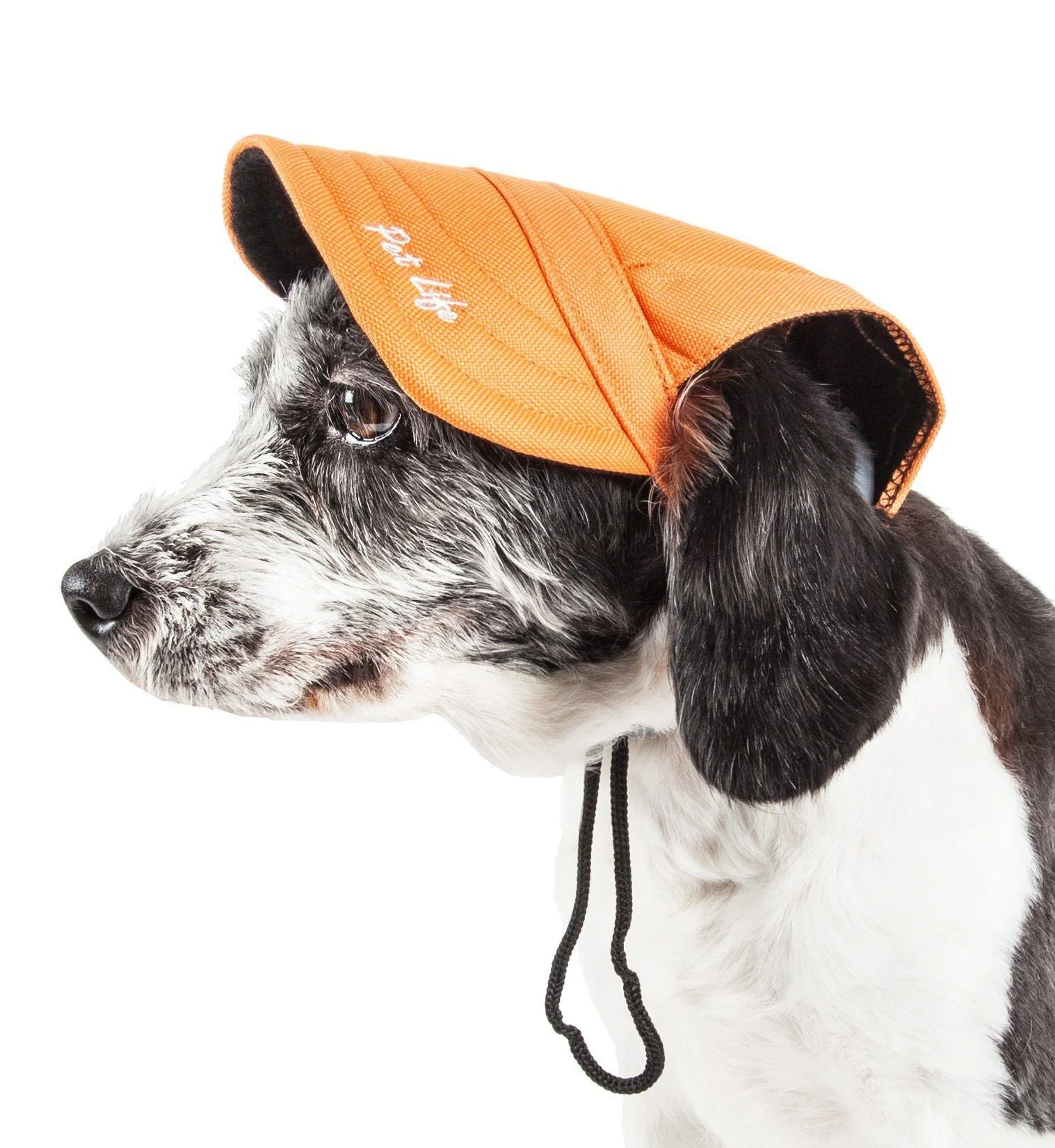 Pet Life ®  'Cap-Tivating' UV Protectant Adjustable Fashion Dog Hat Cap - Image 5