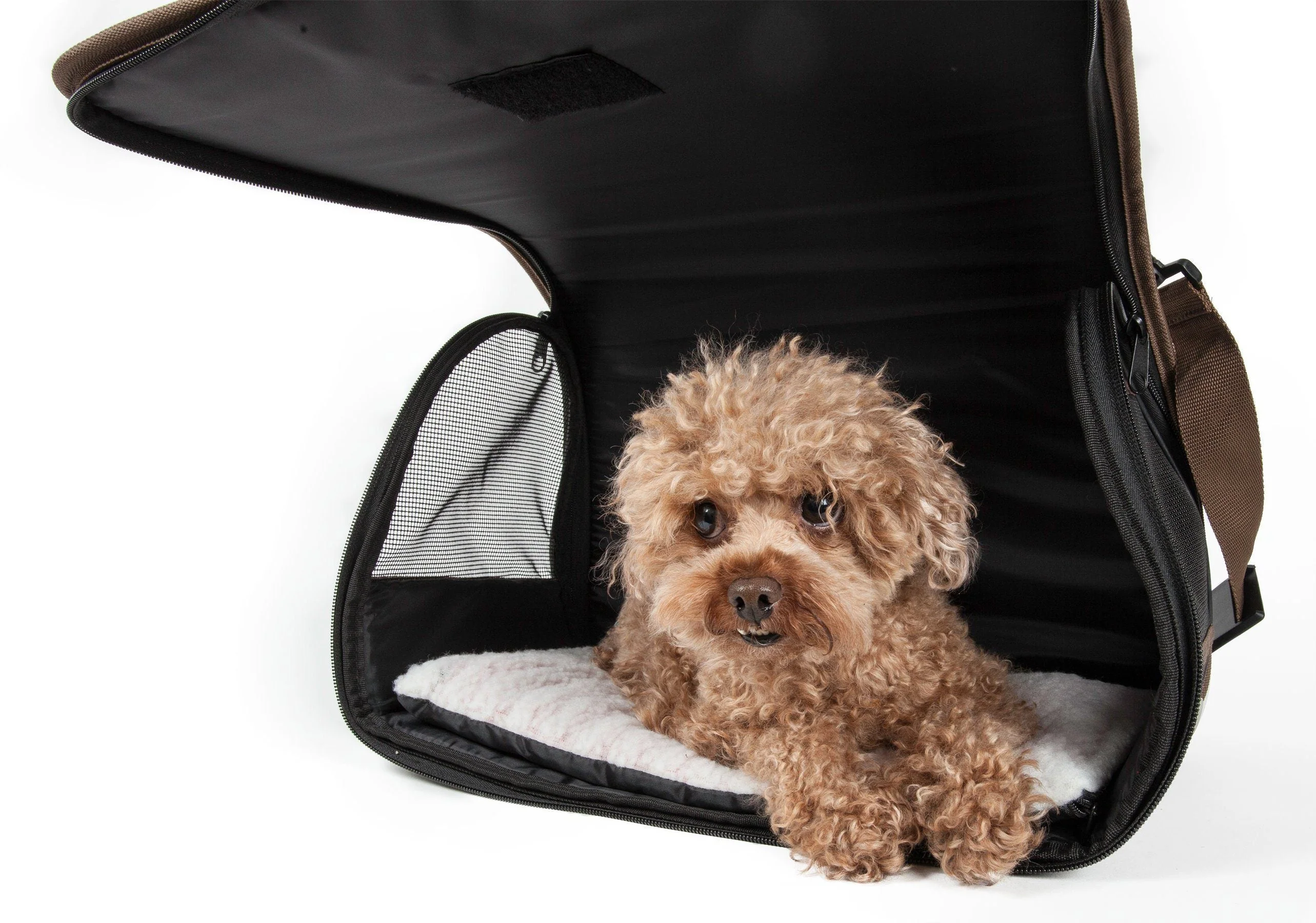 Pet Life ® Casual Polka-Dotted Airline Approved Folding Zippered Collapsible Travel Pet Dog Carrier w/ Pouch - Image 6