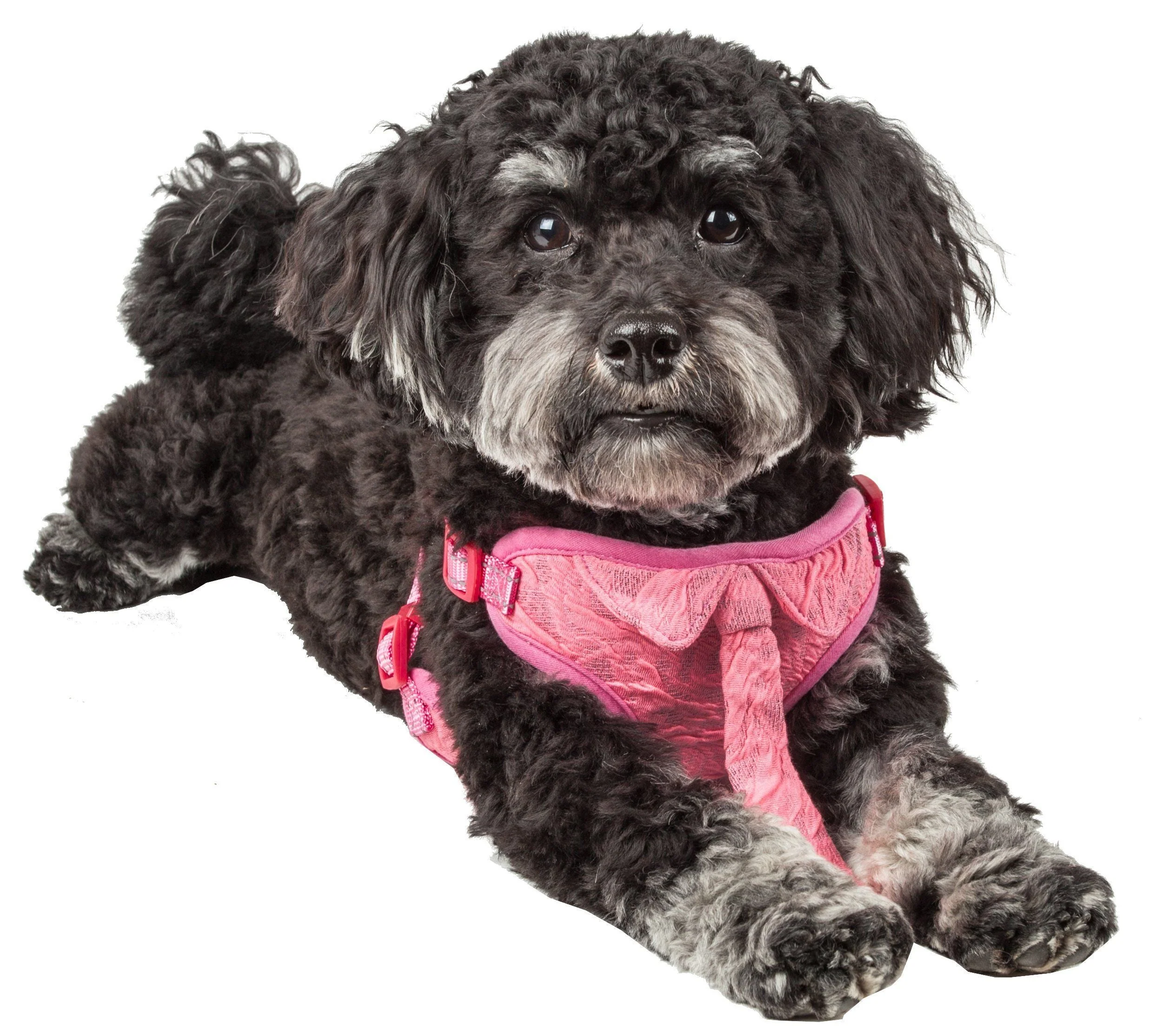 Pet Life ® 'Chichi Shaggy' Mesh Reversed Adjustable Fashion Dog Harness W/ Shaggy Neck Tie - Image 2