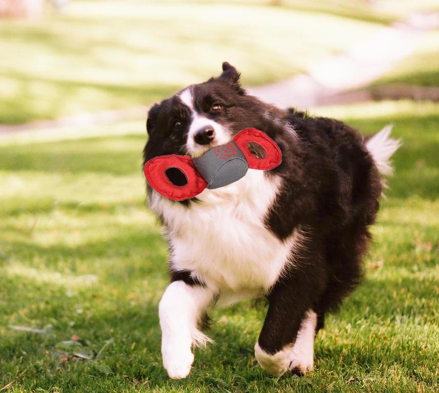 Pet Life ® 'Chompter' Dura-Chew Plush Waterproof Tugging Nylon Dog Toy - Image 3