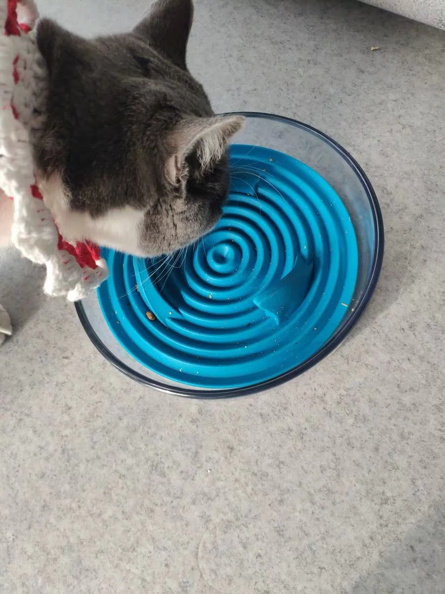 Pet Life ® 'Cirlicue' Shark Fin Shaped Modern Slow Feeding Pet Bowl - Image 9