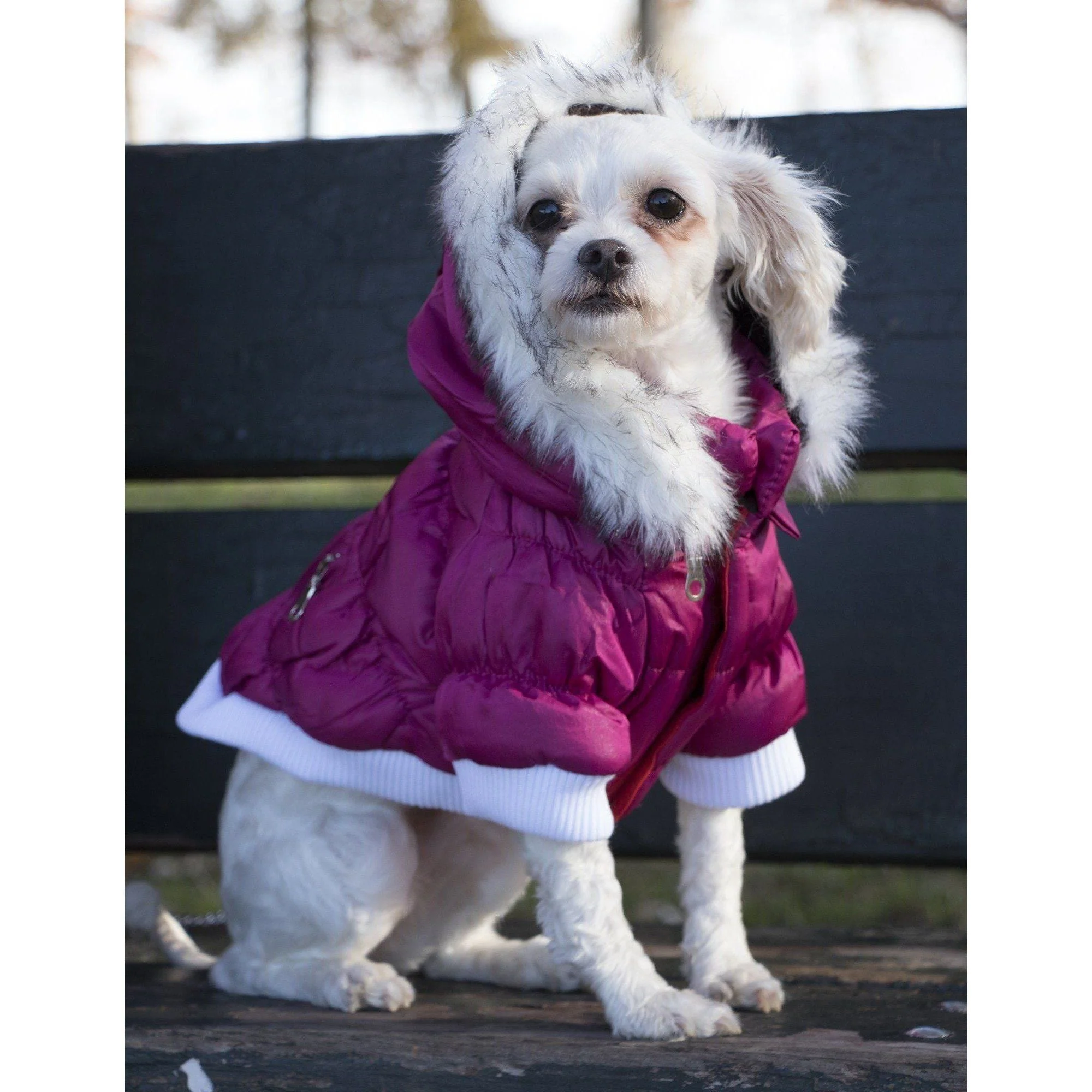 Pet Life ® Classic Metallic Fashion 3M Insulated Dog Coat Parka  w/ Removable Hood - Image 13
