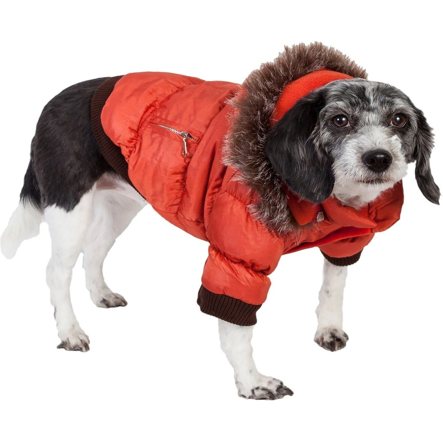 Pet Life ® Classic Metallic Fashion 3M Insulated Dog Coat Parka  w/ Removable Hood - Image 2