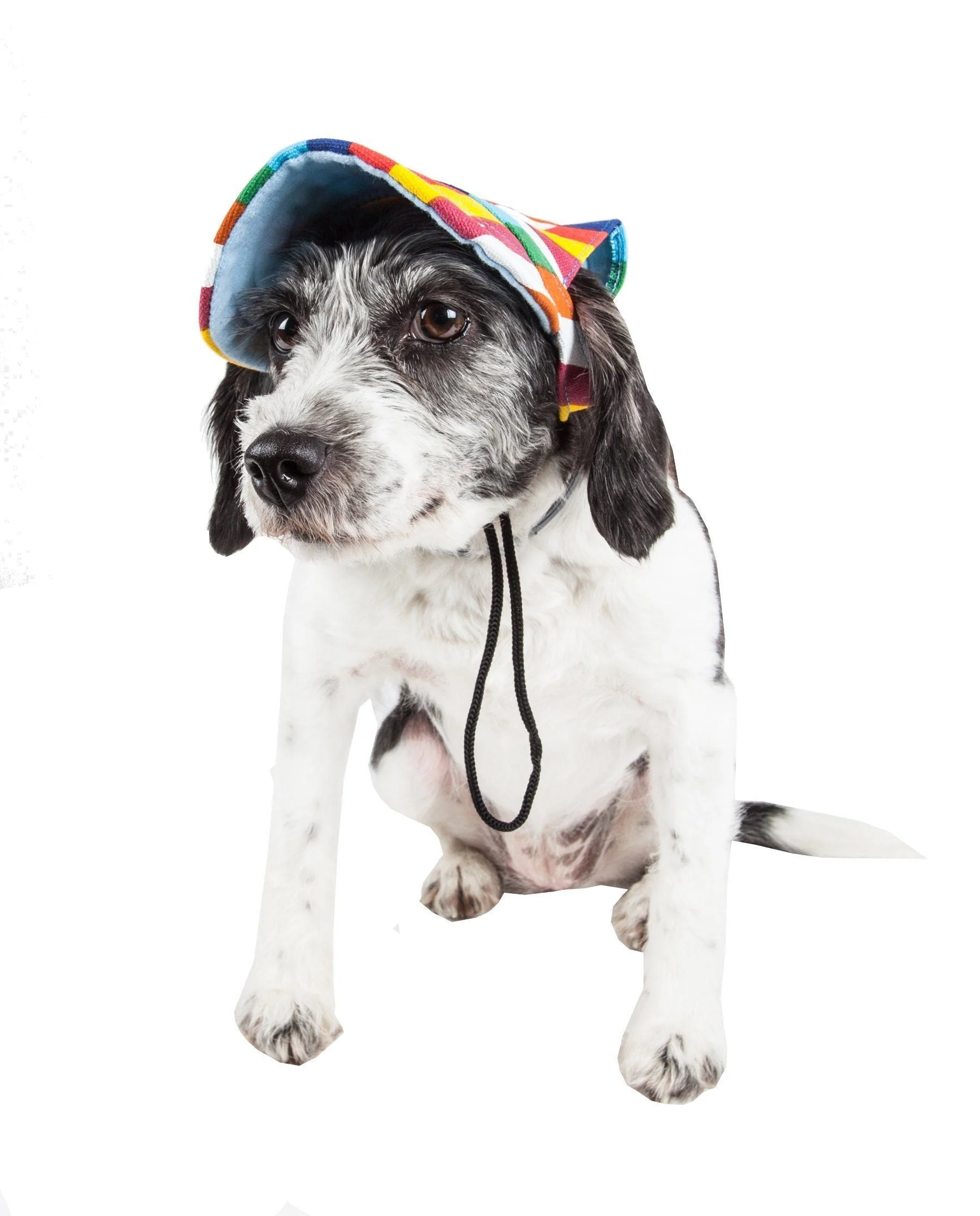 Pet Life ®  'Colorfur' Floral UV Protectant Adjustable Fashion Dog Hat Cap - Image 3