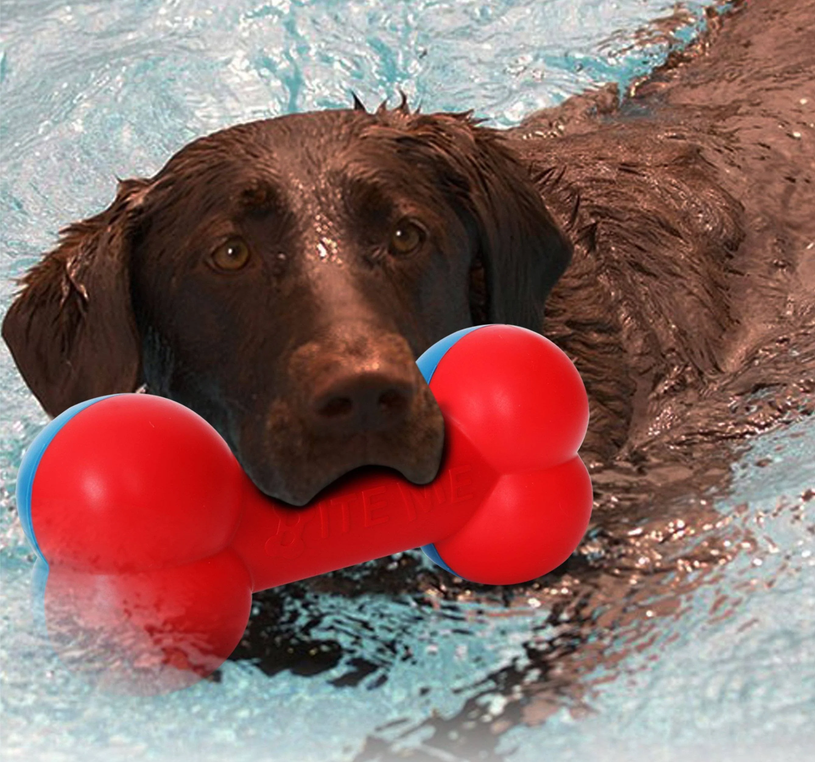 Pet Life ® 'Denta-Bone' TPR Durable Waterproof Floating Dog Toy - Image 2