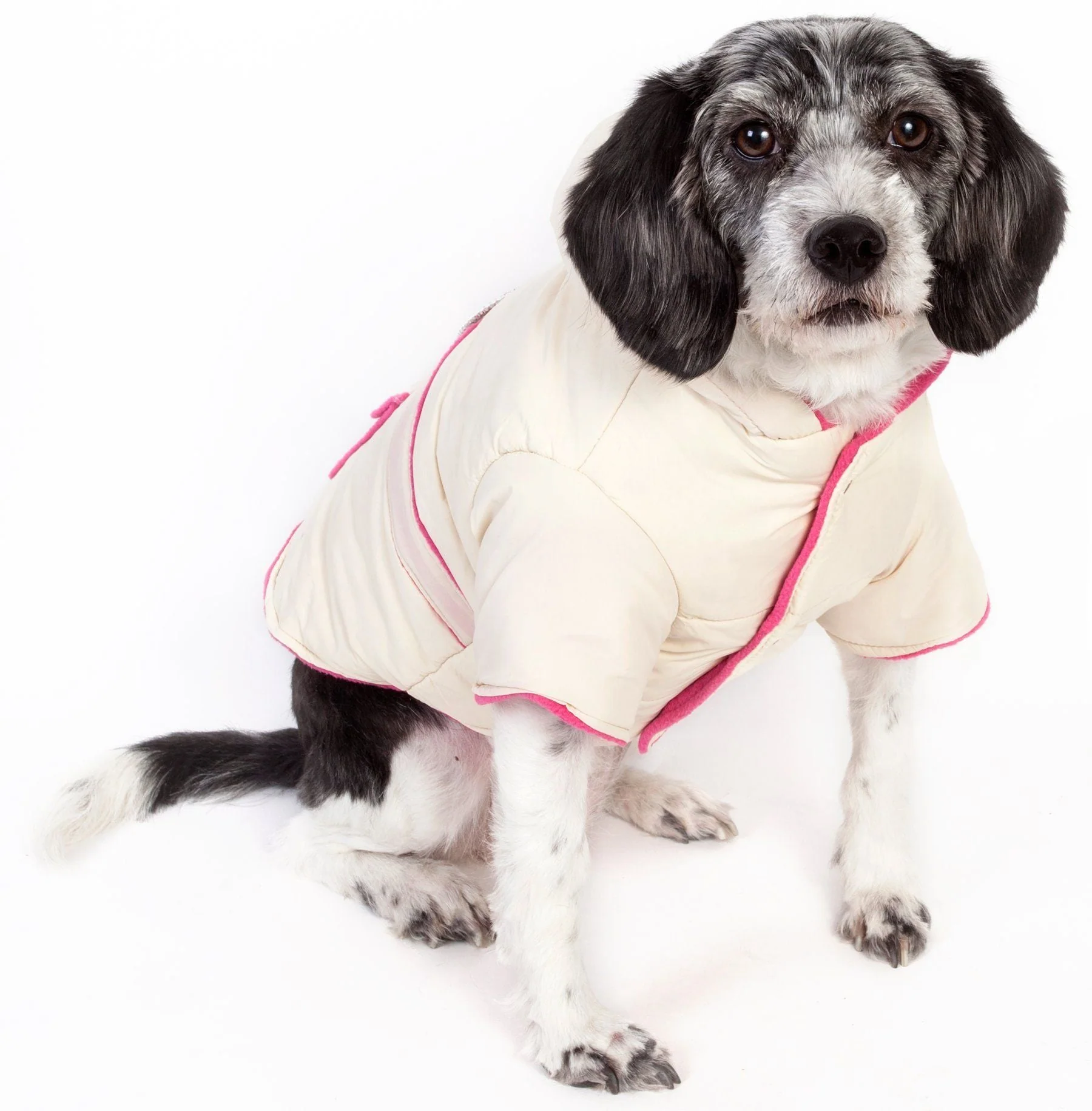 Pet Life ® Dual-Toned 3M Insulated Diamond Jeweled Pet Dog Jacket - Image 7