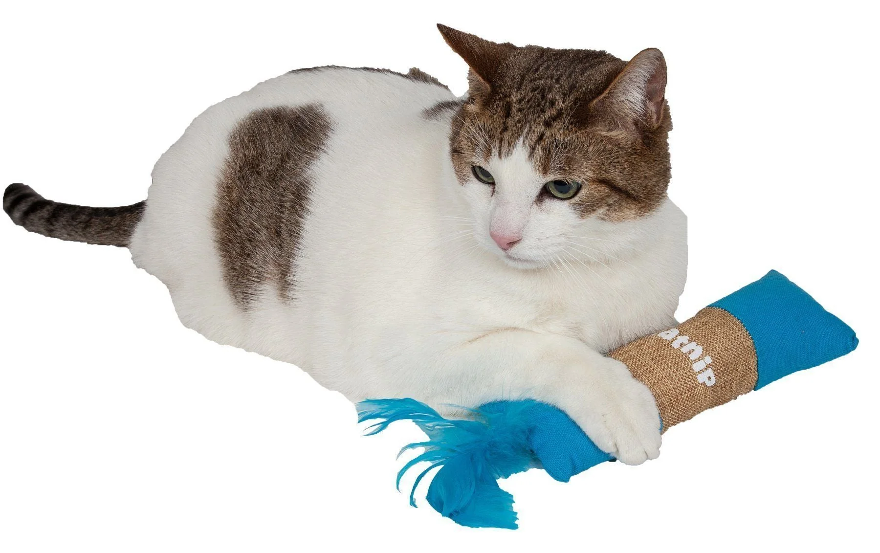 Pet Life ® 'Duffle Feathered' Squeak and Crinkle Teaser Plush Cat Toy - Image 2