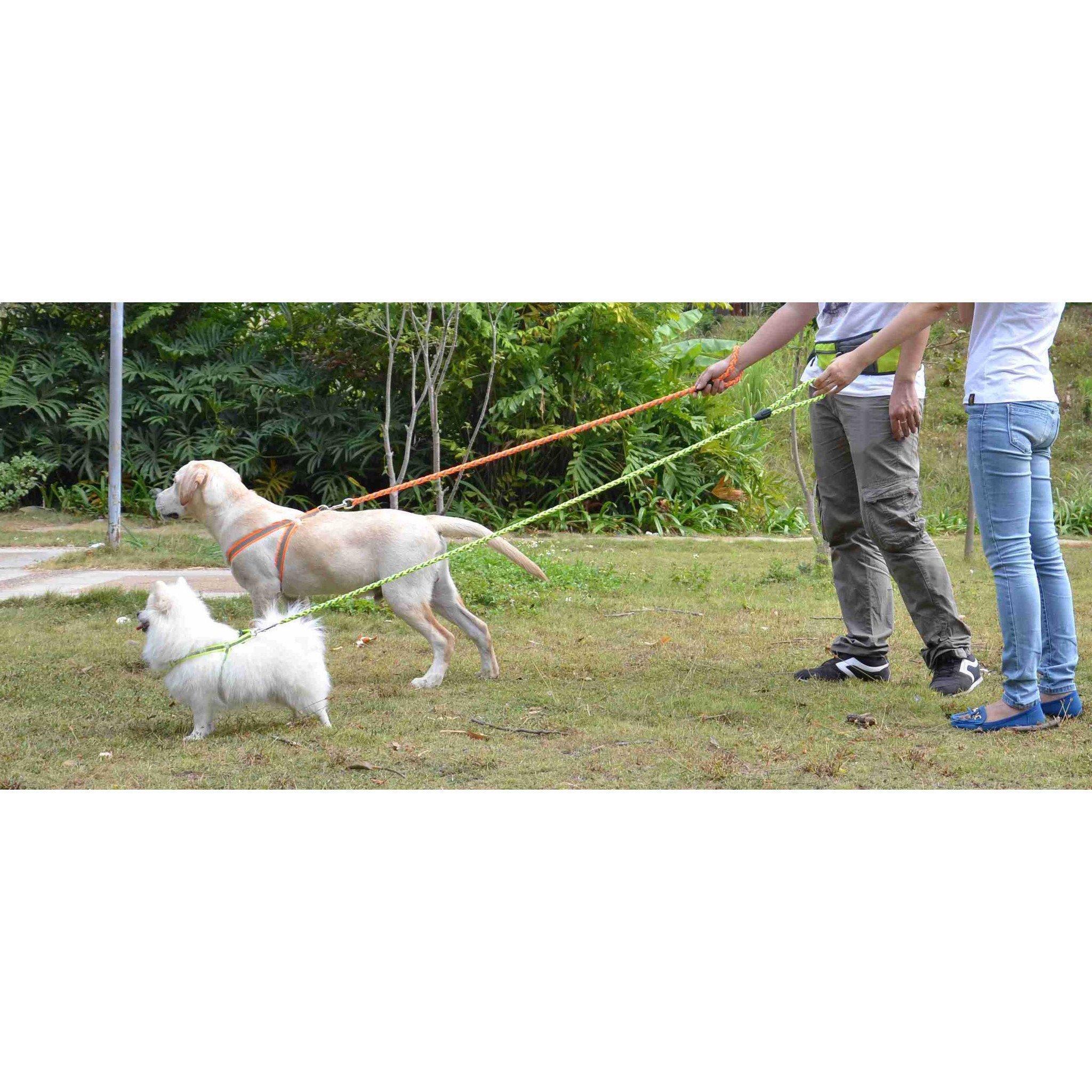 Pet Life ® 'Easy Tension' Reflective Stitched Adjustable 2-in-1 Pet Dog Leash and Harness - Image 2