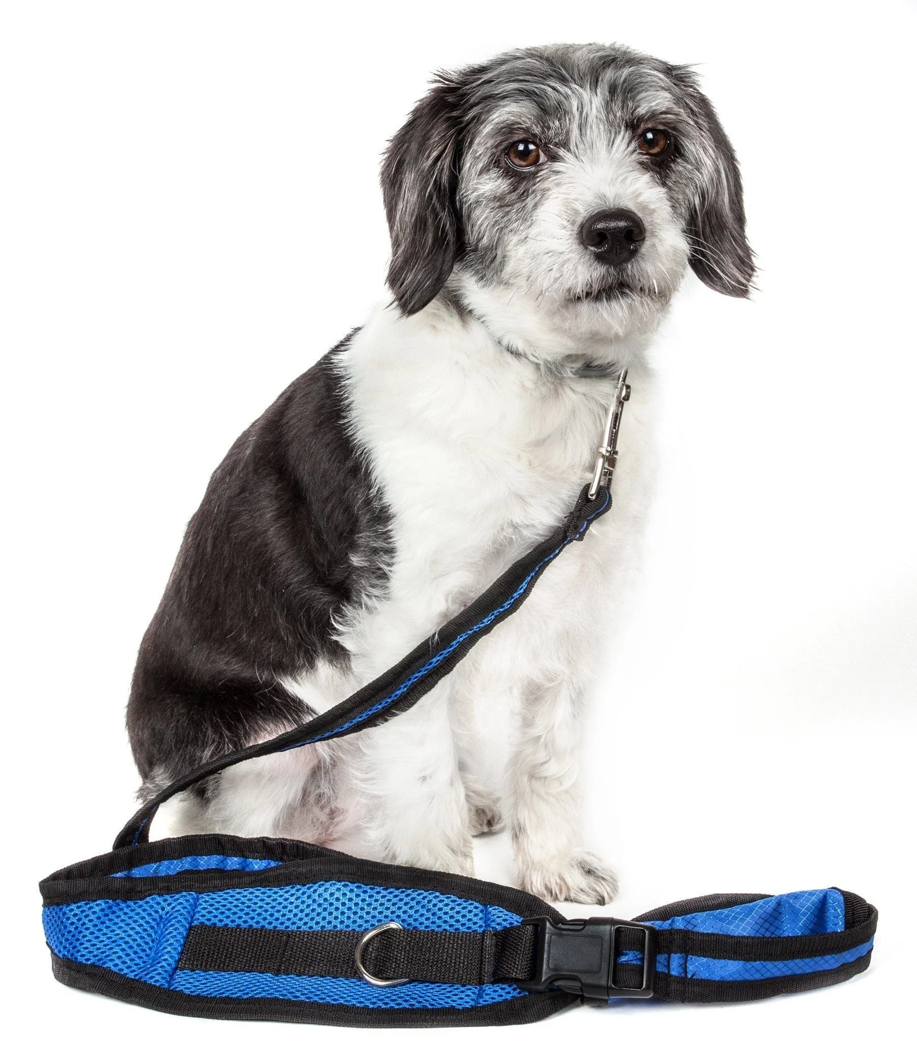 Pet Life ® 'Echelon' Hands Free and Convertible 2-In-1 Training Pet Dog Leash and Pet Belt Trainer - Image 2