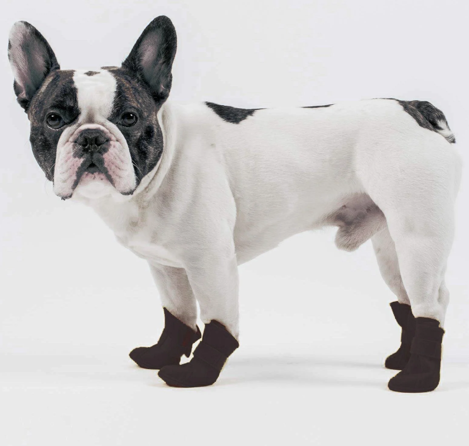 Pet Life ® Elastic Protective Multi-Usage All-Terrain Rubberized Dog Shoes - Set of 4 - Image 2
