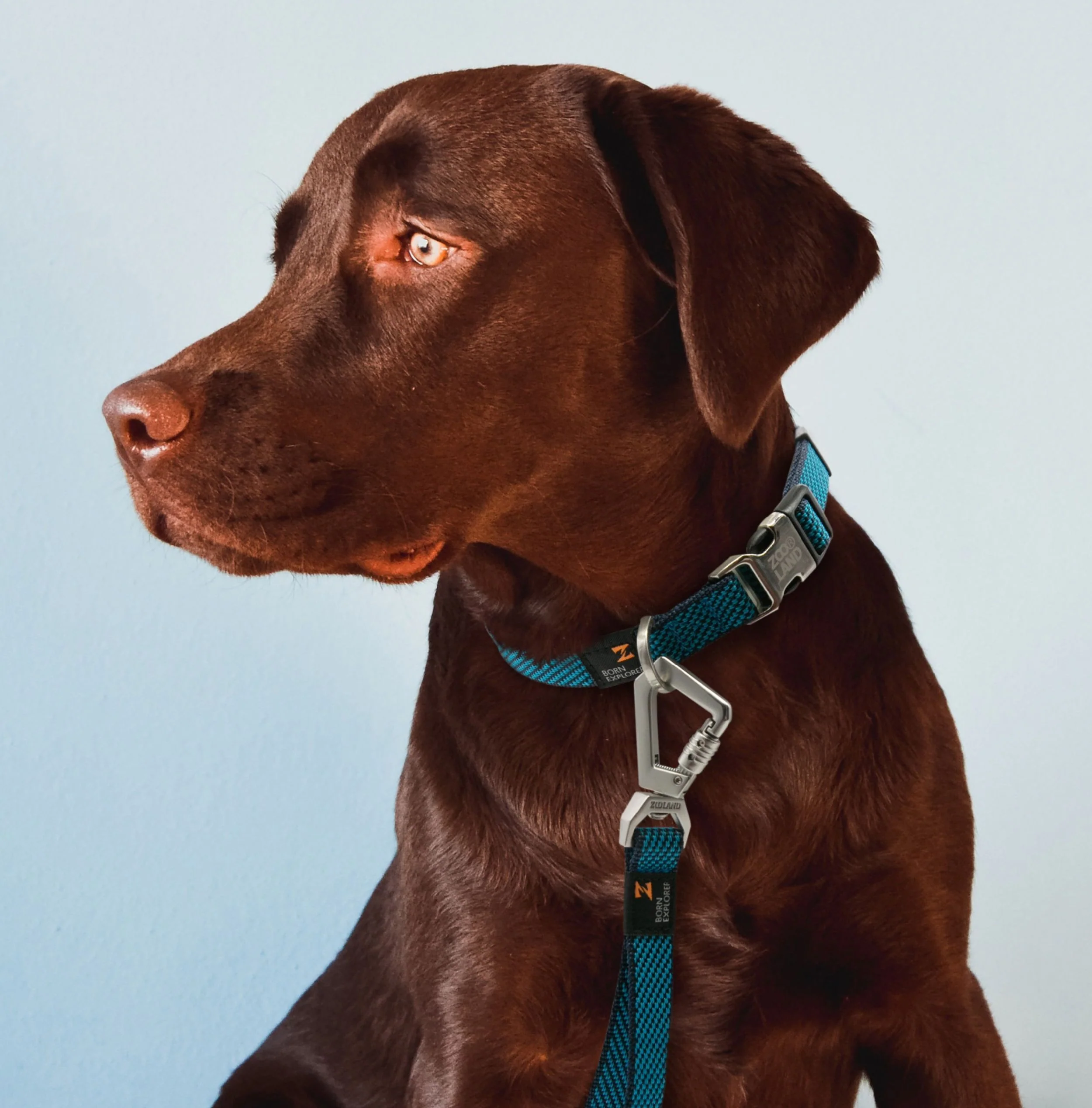Pet Life ® 'Escapade' Outdoor Series 2-in-1 Convertible Dog Leash and Collar - Image 4