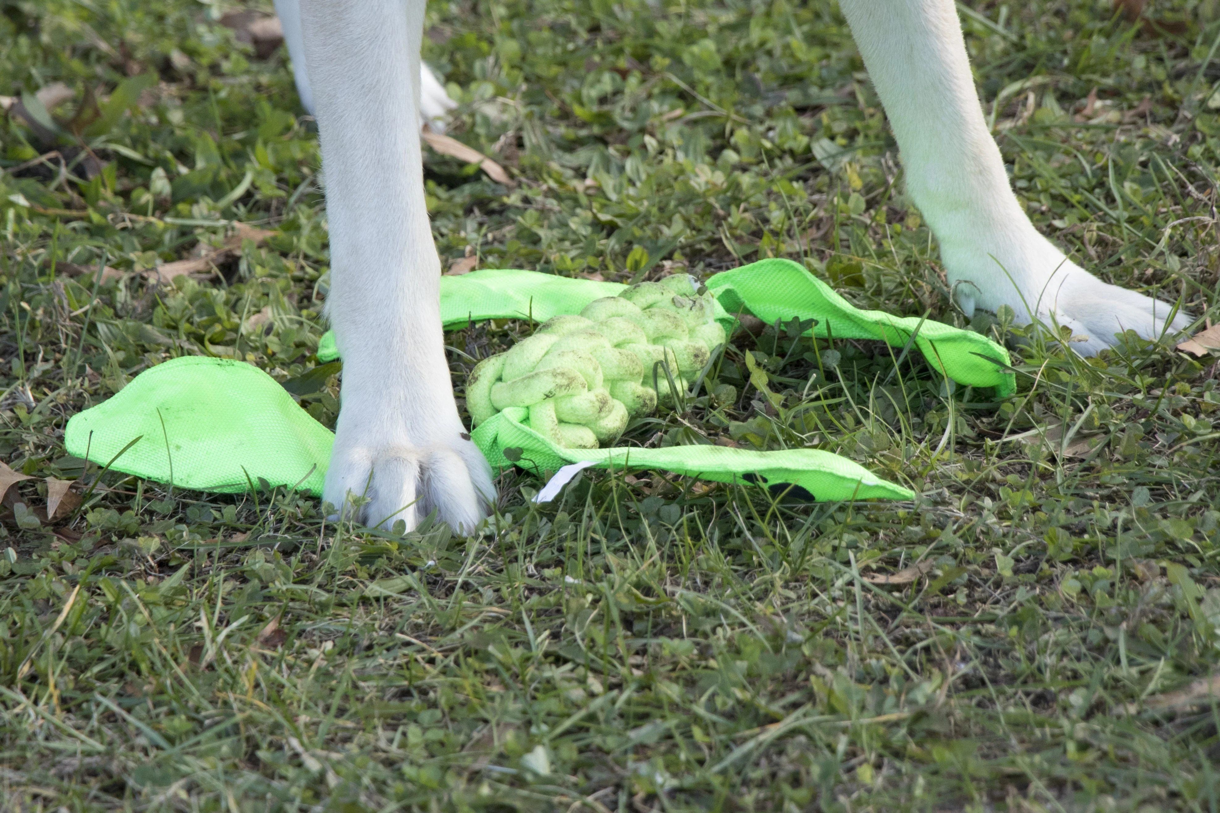 Pet Life ® 'Extreme Twist' Sporty Tugging Jute and Squeak Dog Toy - Image 6