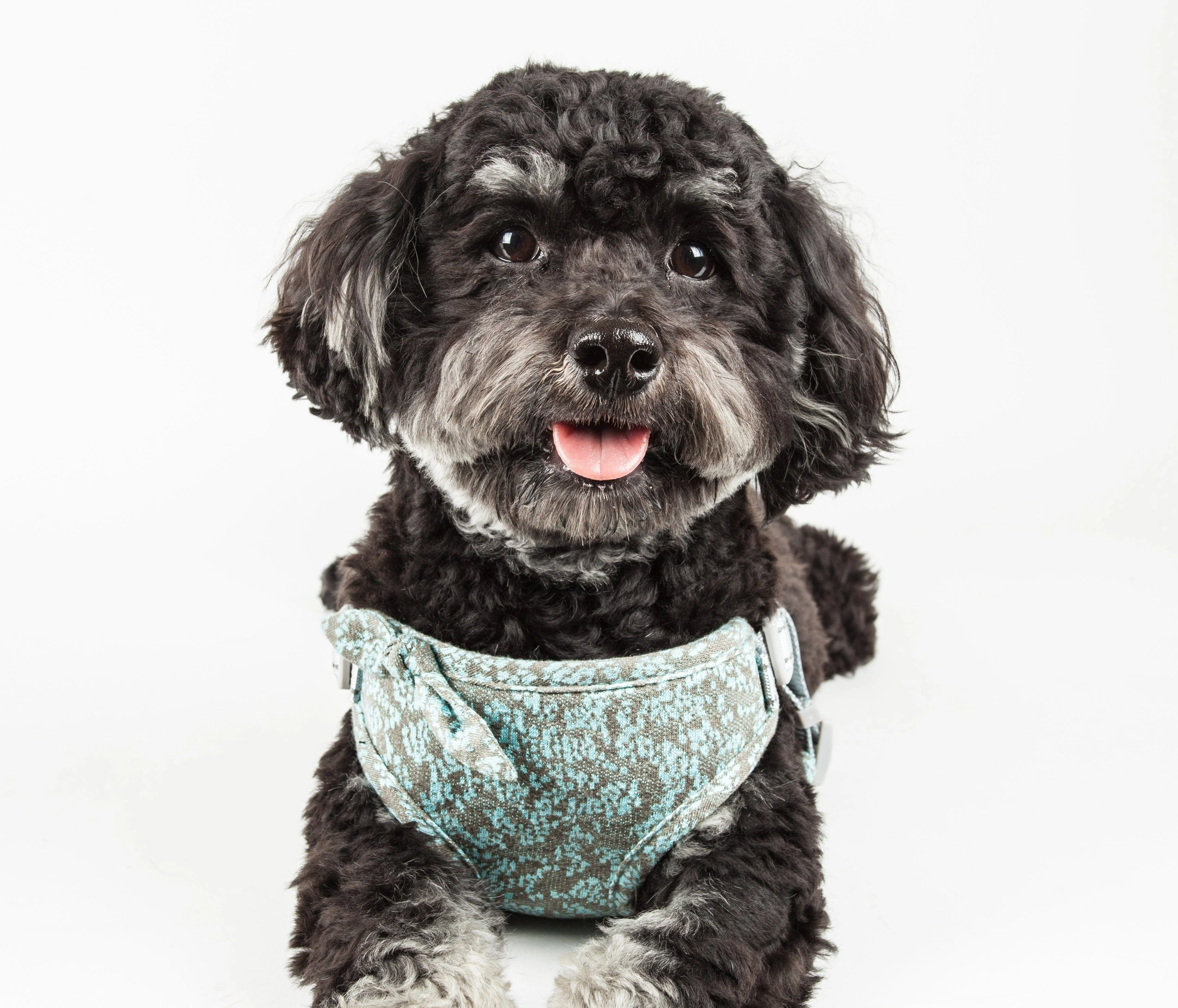 Pet Life ®  'Fidomite' Mesh Reversed  and Adjustable Fashion Dog Harness W/ Designer Bowtie - Image 3