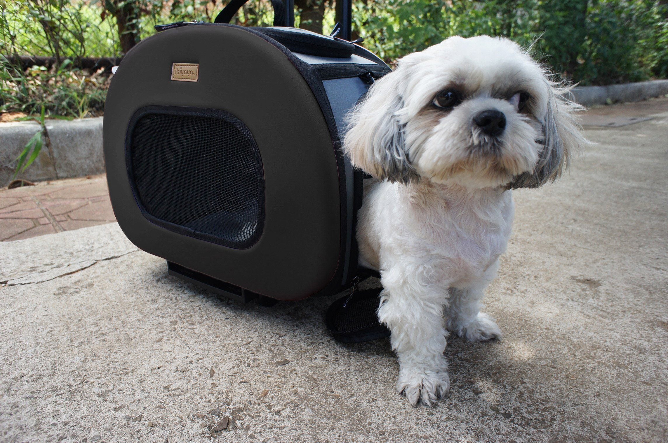 Pet Life ® 'Final Destination' Airline Approved 2-in-1 Tough-Shell Wheeled Collapsible Travel Fashion Pet Dog Carrier Crate - Image 7
