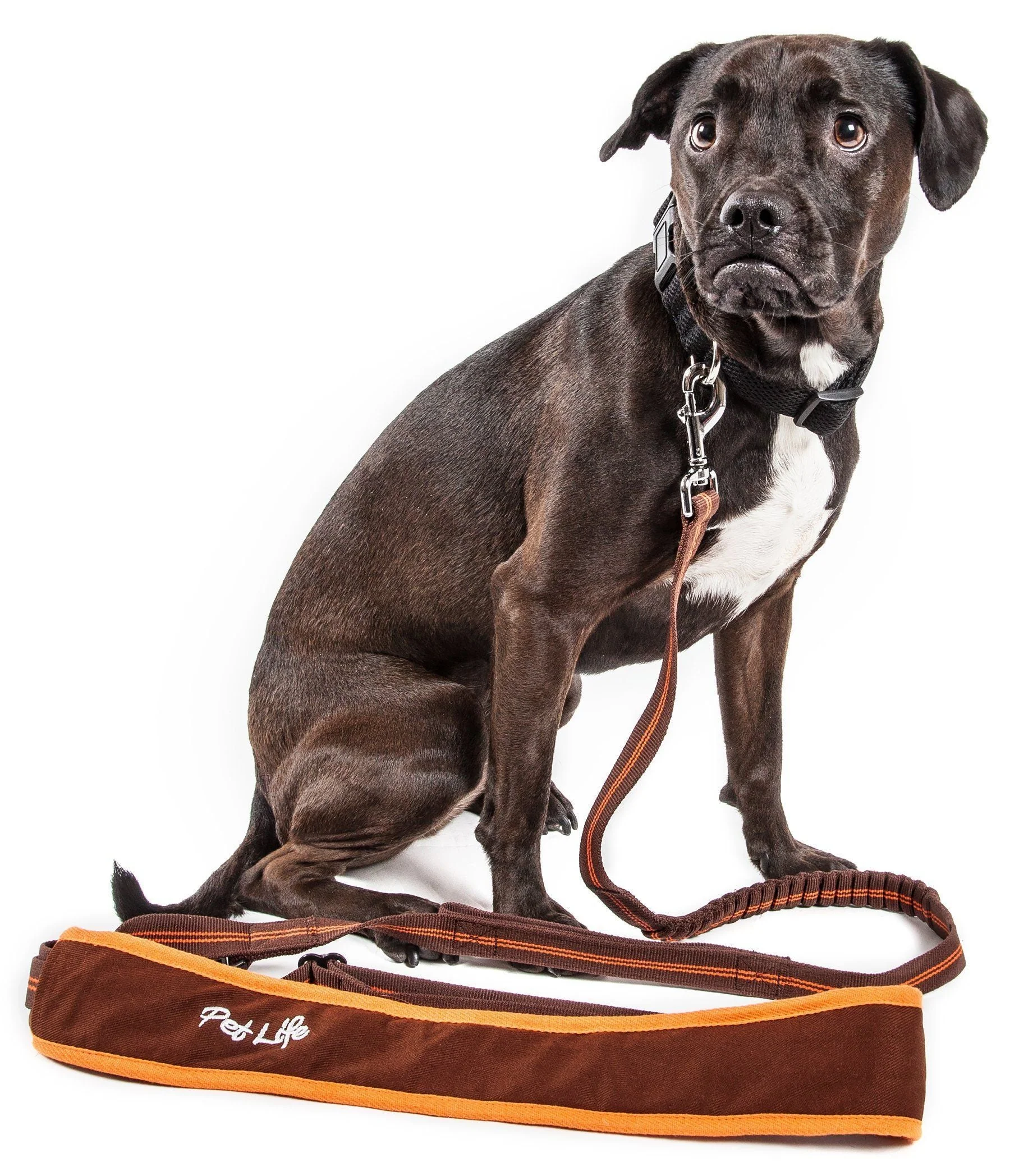 Pet Life ®  'Free-Fetcher' Hands Free Over-The-Shoulder Shock Absorbent Dog Leash - Image 7