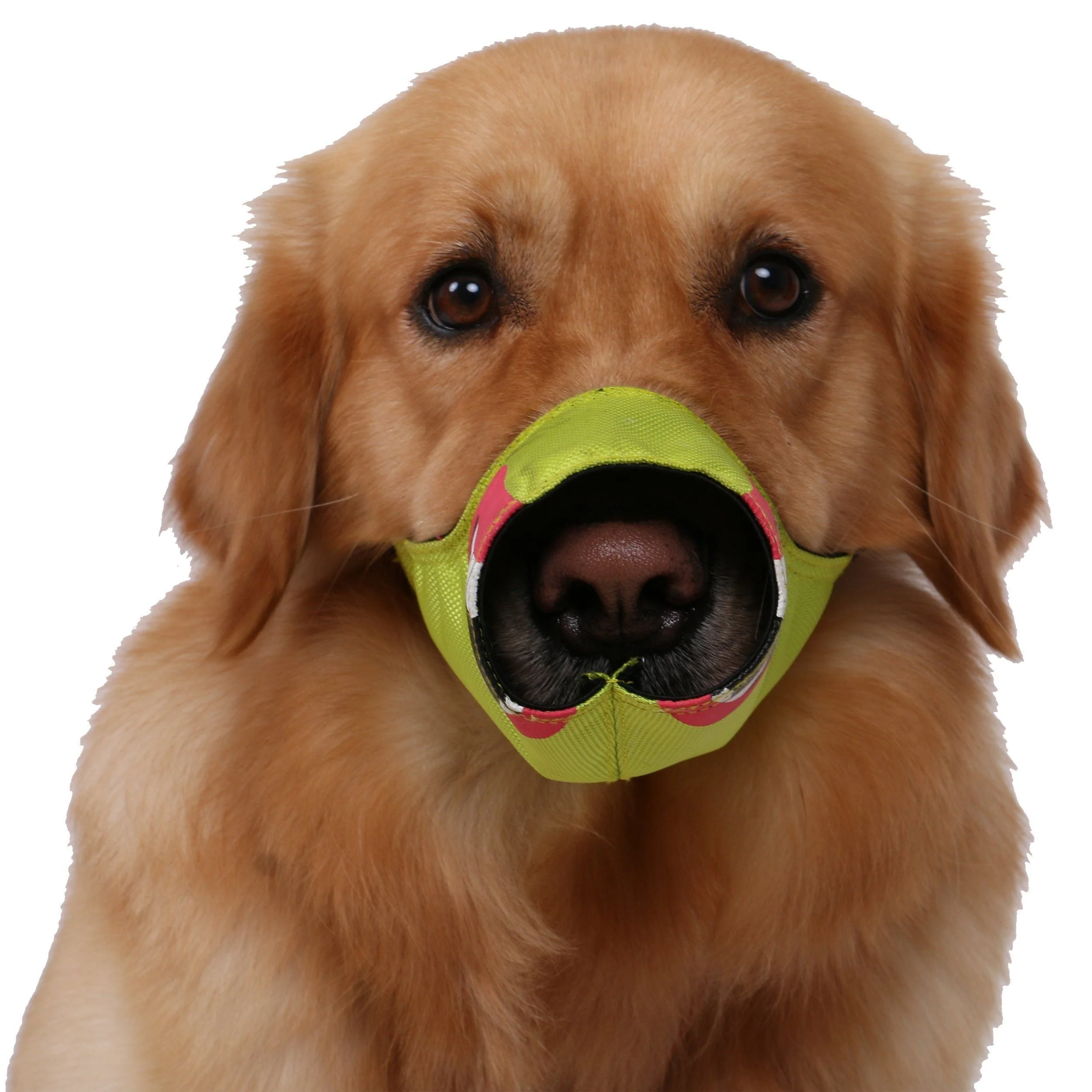 Pet Life ® 'Funimation' Animated Nylon Mesh Protective Travel Anti-Bark Dog Muzzle - Image 2