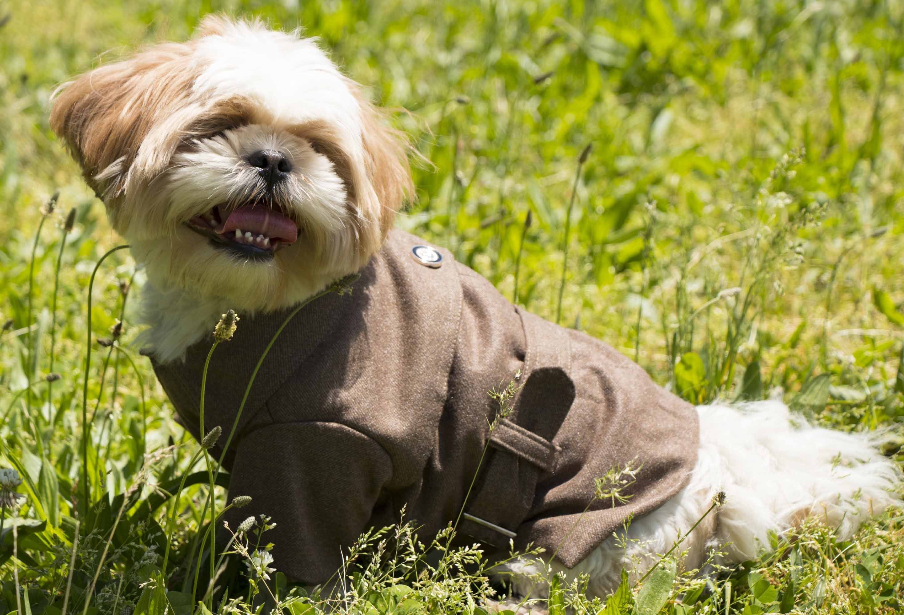 Pet Life ® 'Galore Back-Buckled' Fashion Wool Dog Jacket Coat - Image 4