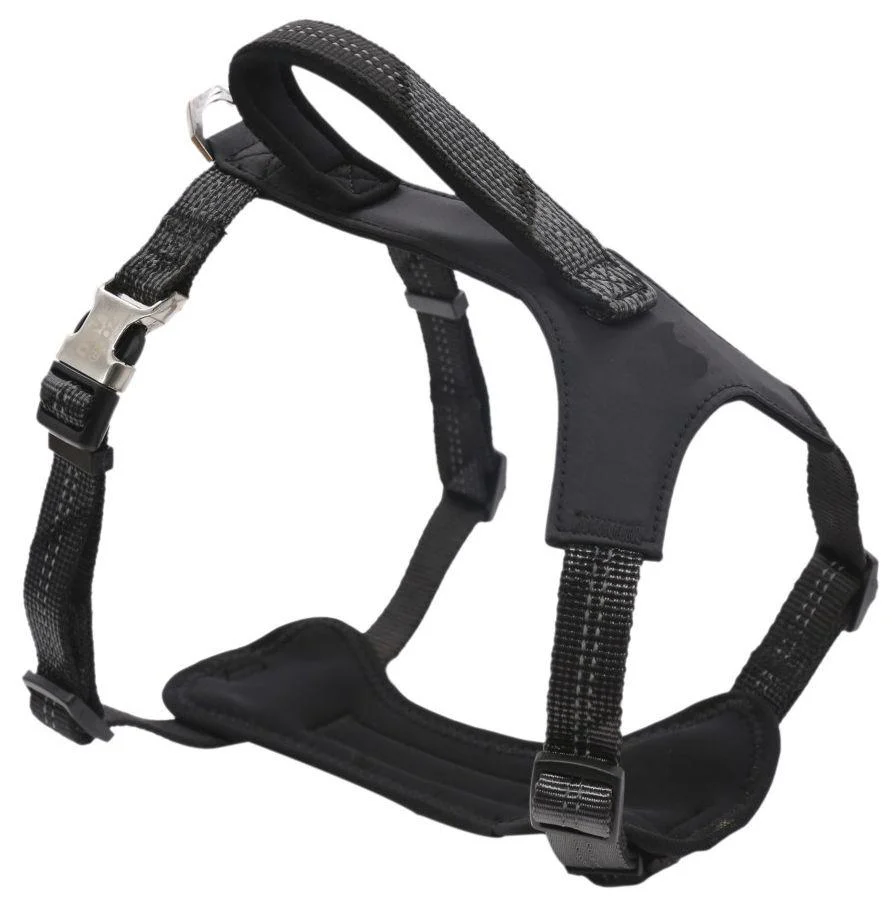 Pet Life ® 'Geo-prene' 2-in-1 Shock Absorbing Neoprene Padded Reflective Dog Leash and Harness - Image 10