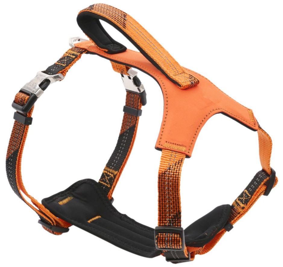 Pet Life ® 'Geo-prene' 2-in-1 Shock Absorbing Neoprene Padded Reflective Dog Leash and Harness - Image 2