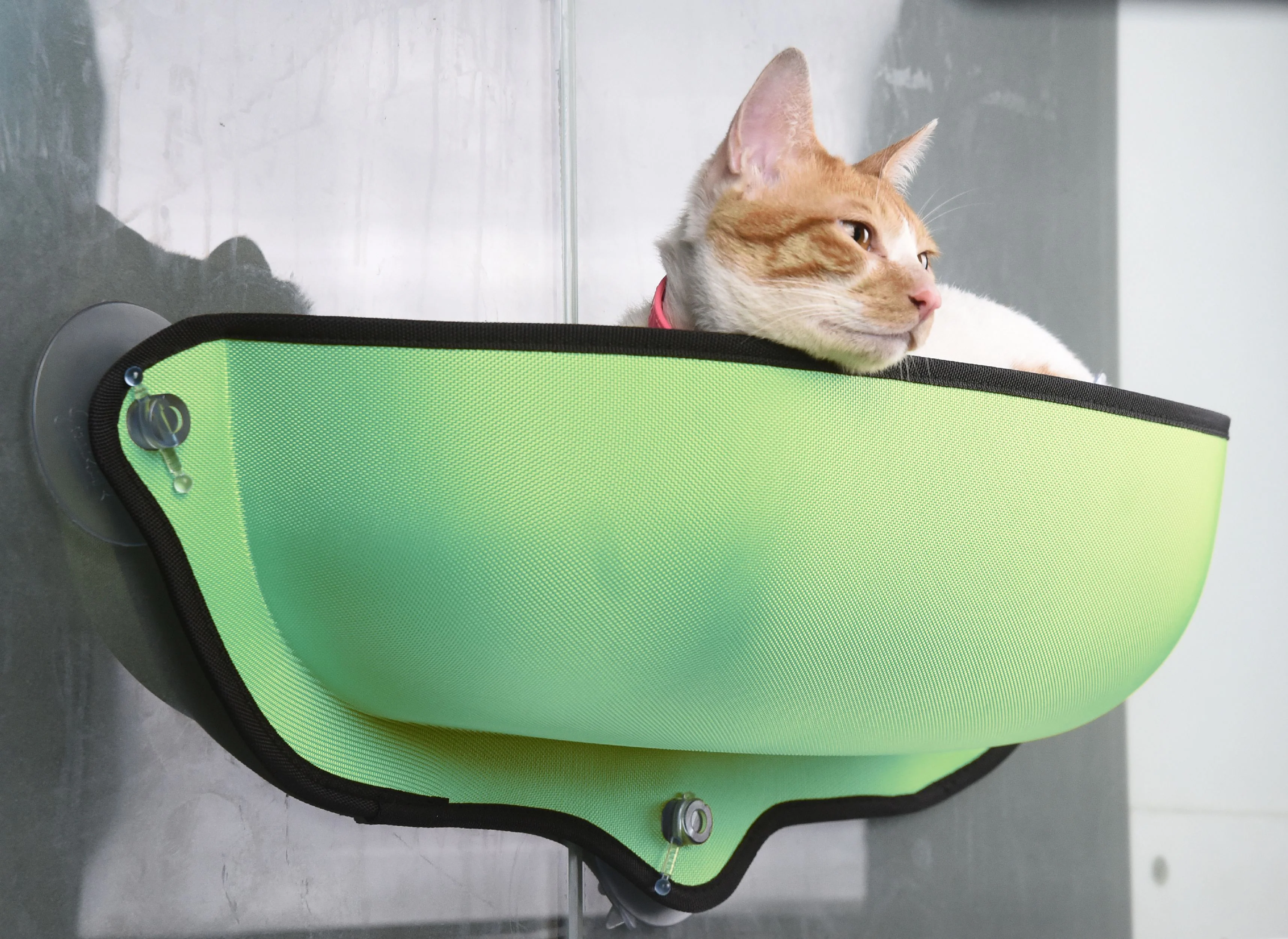 Pet Life ® 'Gravity-Lounge' Suction Cup Kitty Cat Lounger and Bed - Image 3
