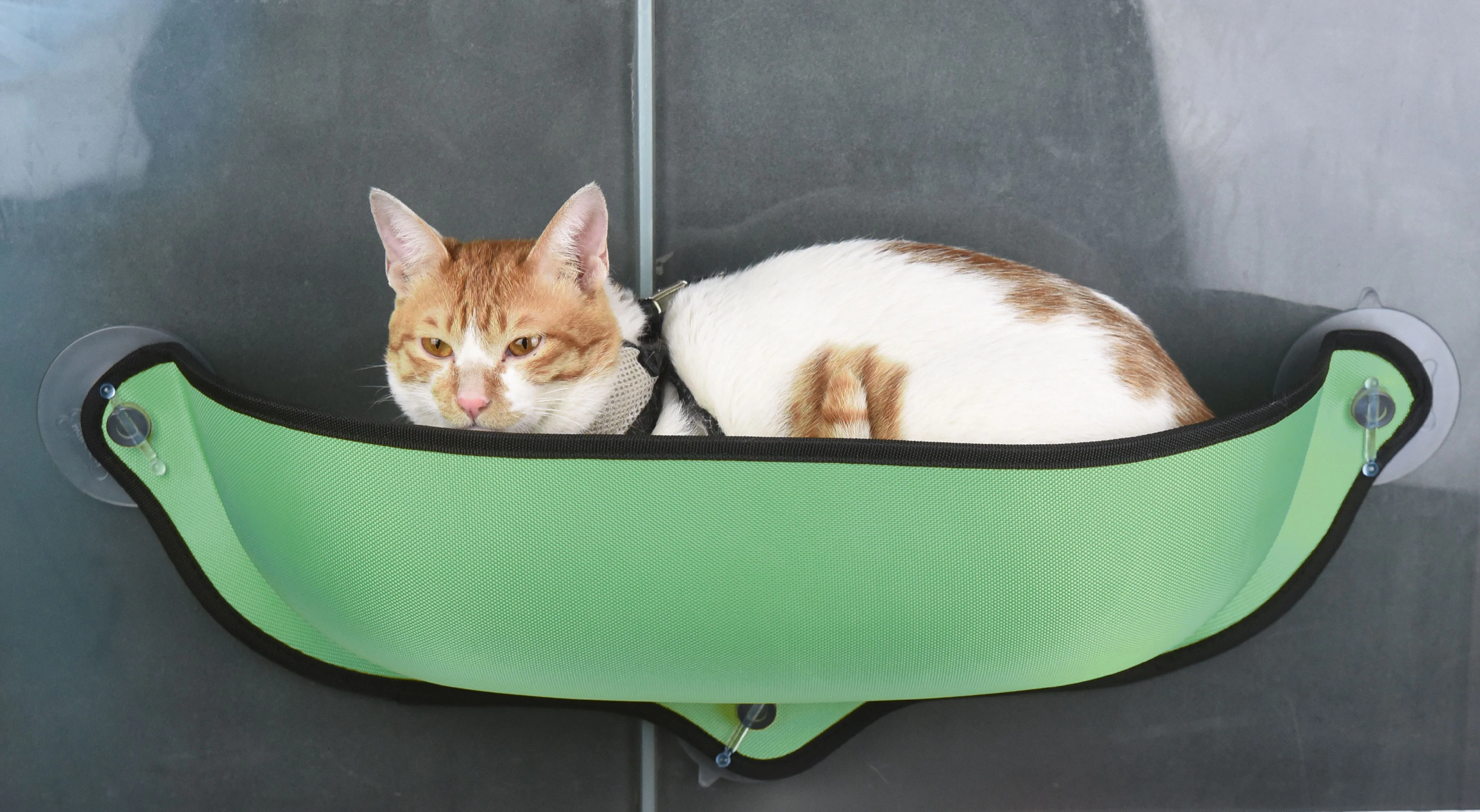 Pet Life ® 'Gravity-Lounge' Suction Cup Kitty Cat Lounger and Bed - Image 4