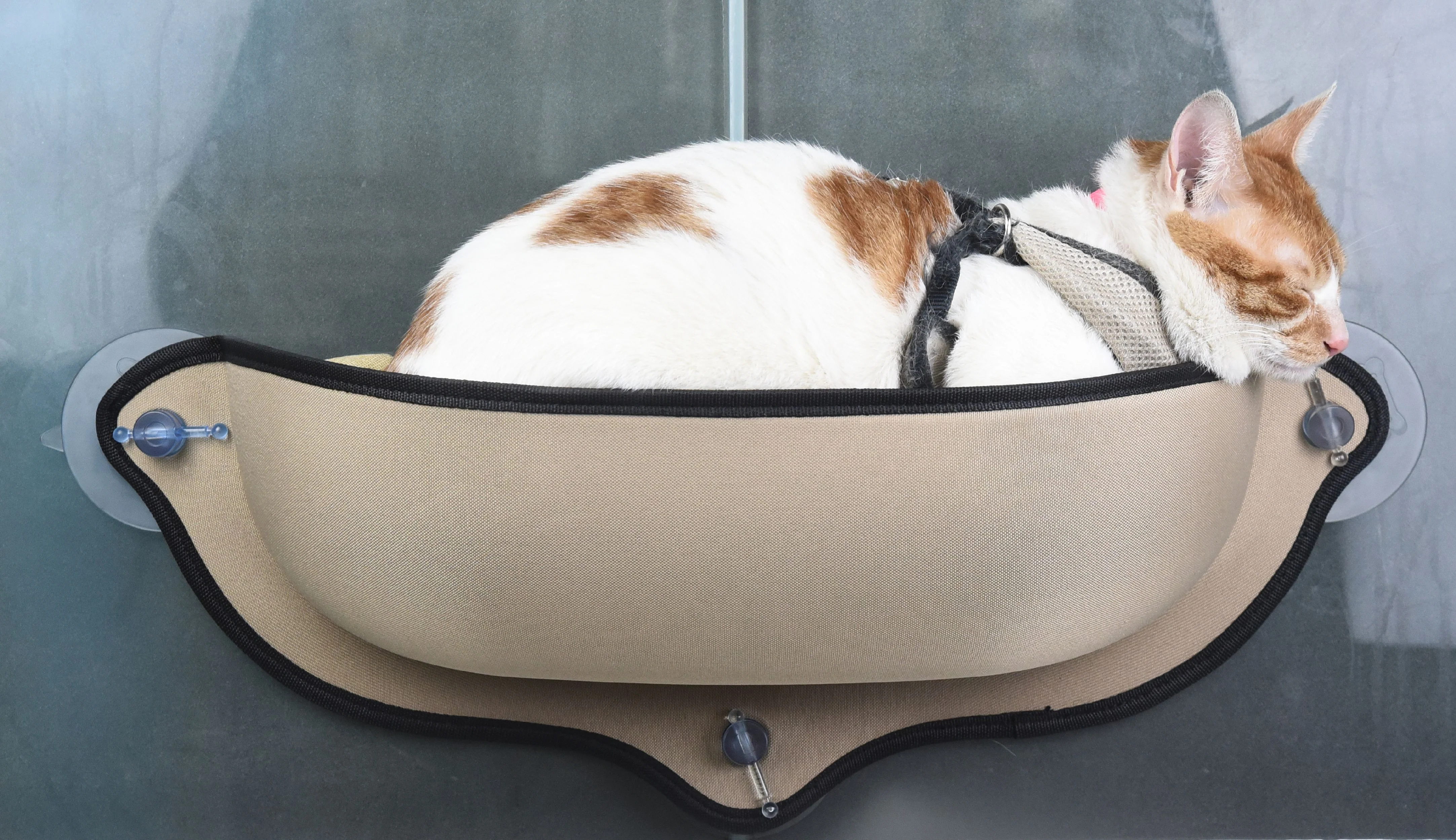 Pet Life ® 'Gravity-Lounge' Suction Cup Kitty Cat Lounger and Bed - Image 5