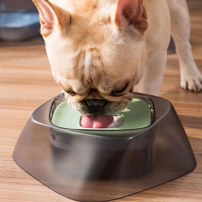 Pet Life ® 'Hydritate' Anti-Puddle Cat and Dog Drinking Water Bowl - Image 5