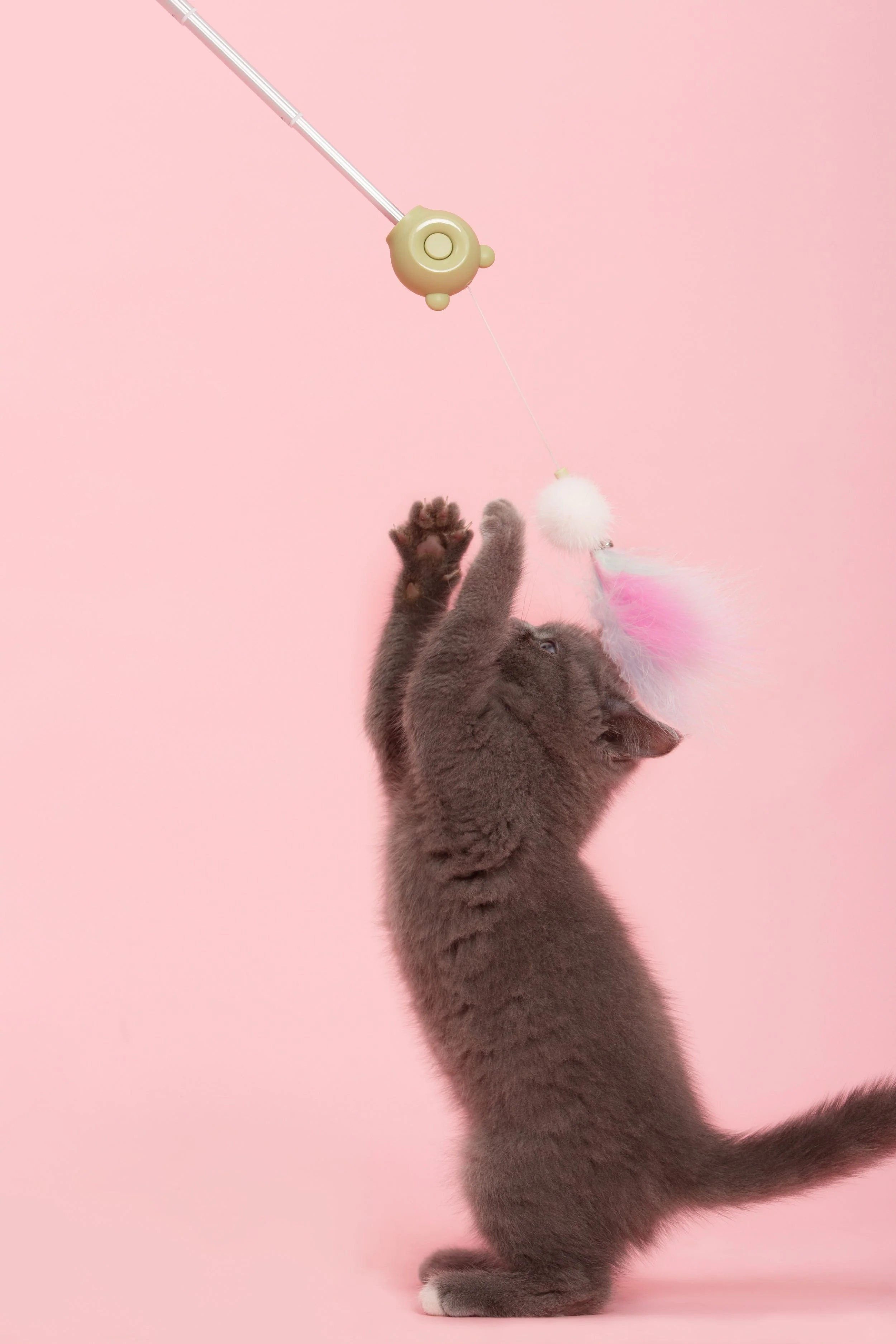 Pet Life ® 'KITIQUE" 3-in-1 Retractable and Extendable Feathered and Laser Wand Kitty Cat Teaser - Image 6