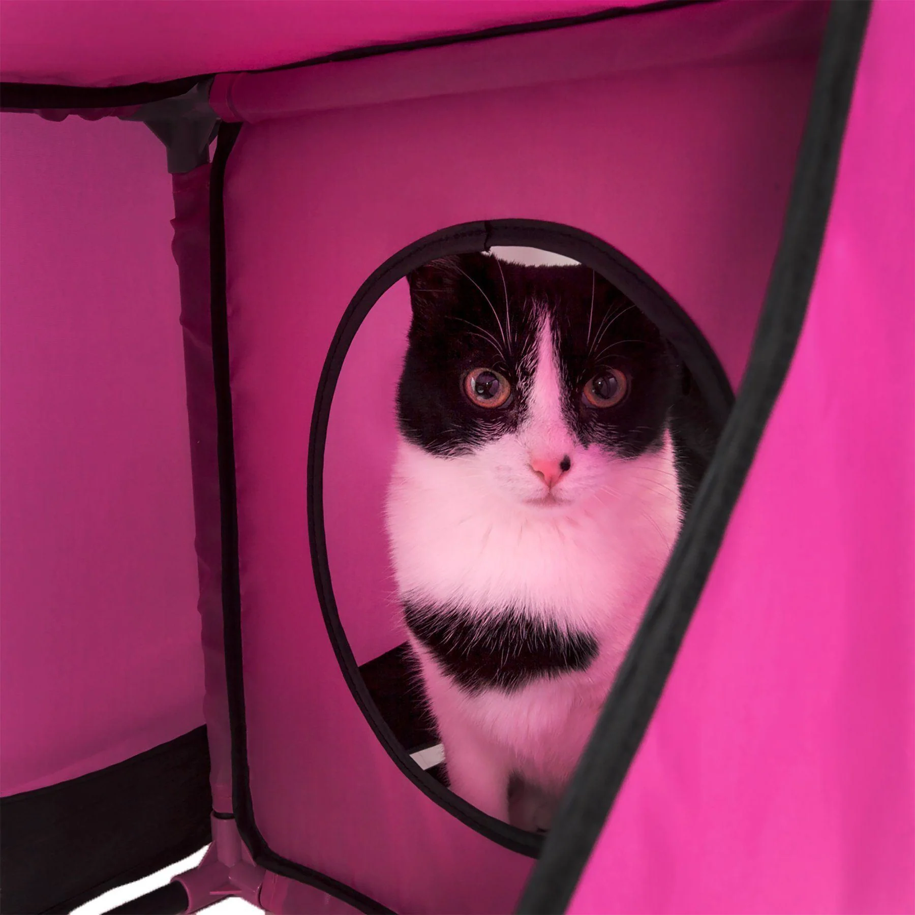 Pet Life ® 'Kitty-Play' Collapsible Travel Interactive Kitty Cat Tree Maze House Lounger Tunnel Lounge - Image 13