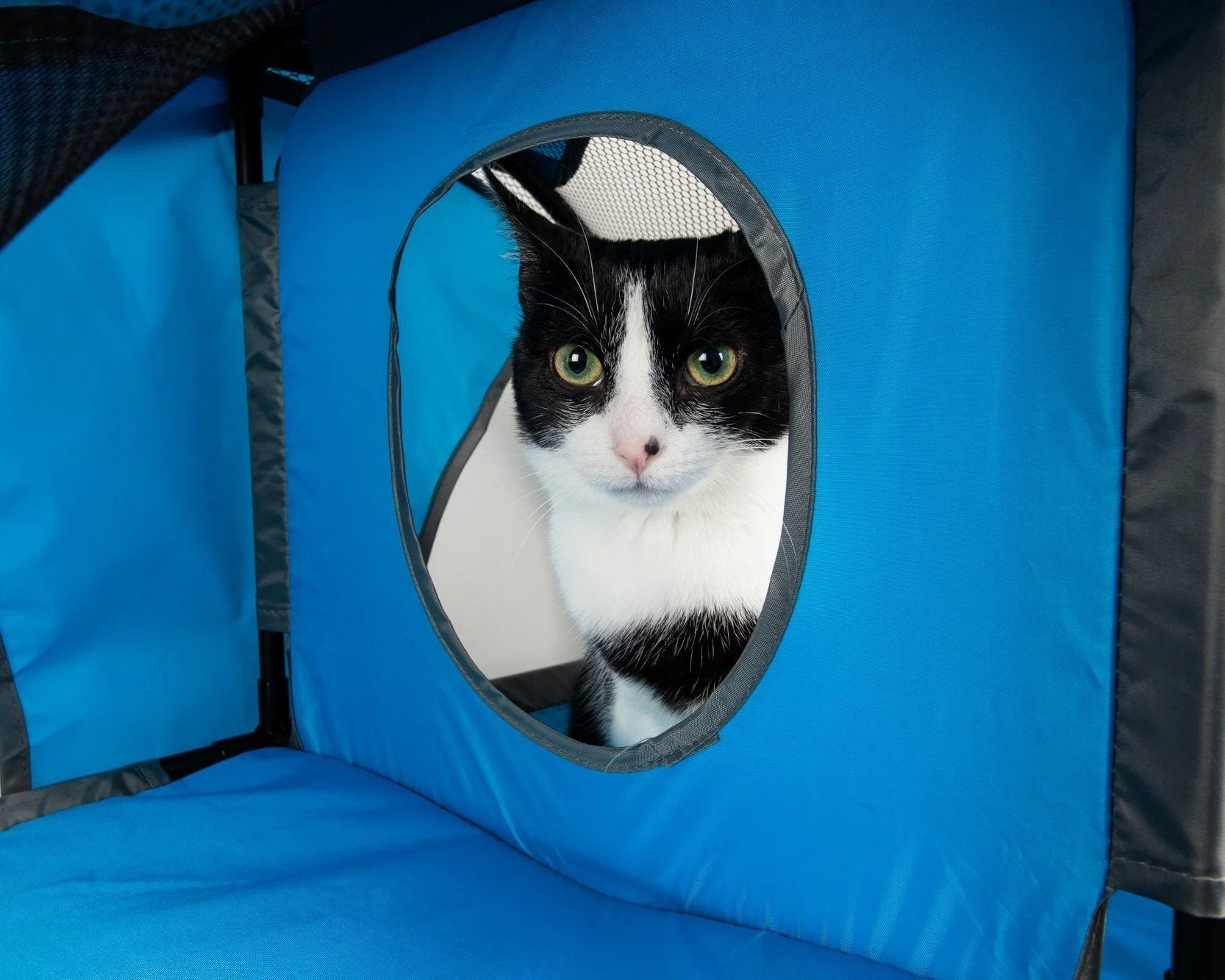 Pet Life ® 'Kitty-Play' Collapsible Travel Interactive Kitty Cat Tree Maze House Lounger Tunnel Lounge - Image 7