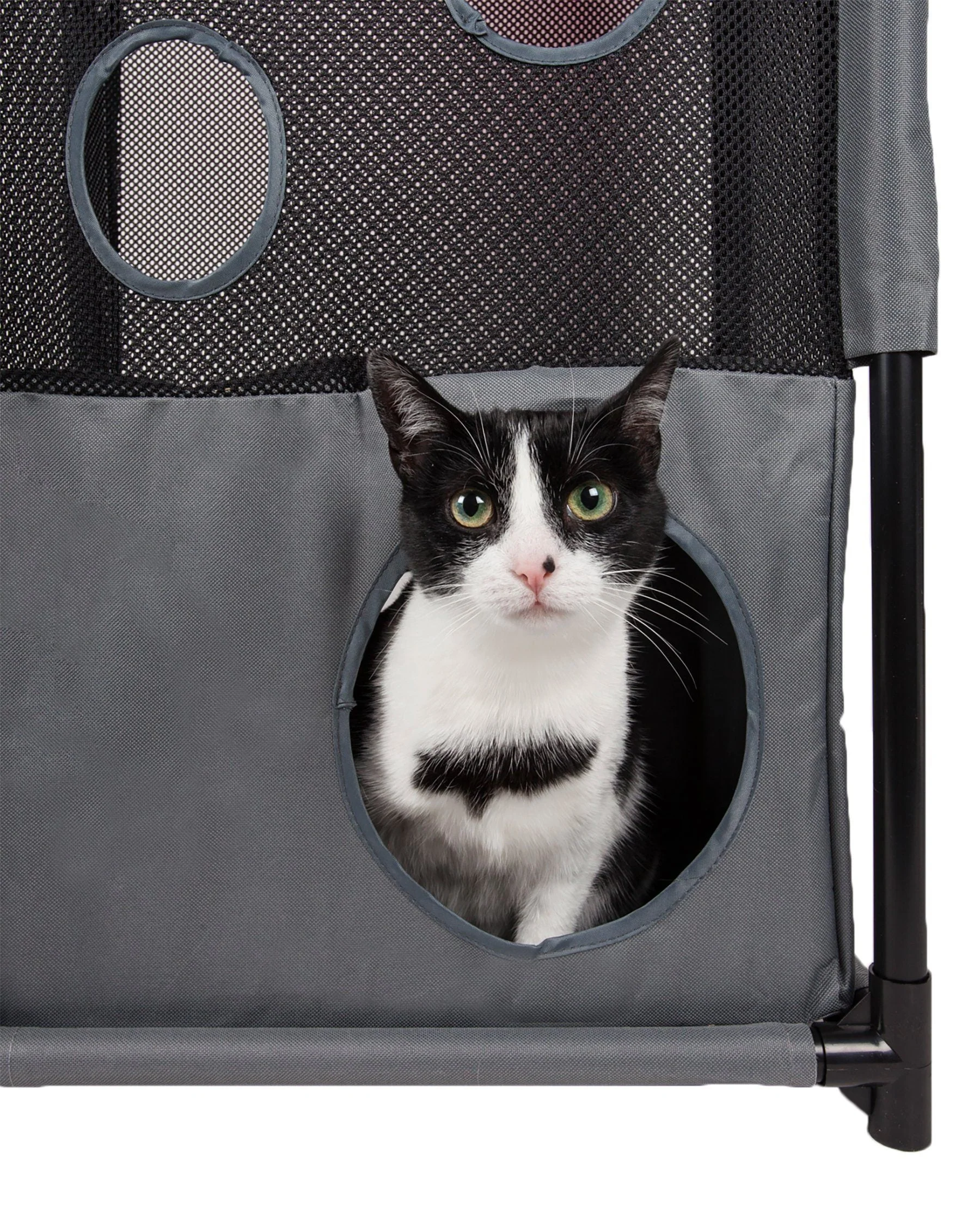 Pet Life ® 'Kitty-Square' Collapsible Travel Interactive Kitty Cat Tree Maze House Lounger Tunnel Lounge - Image 5