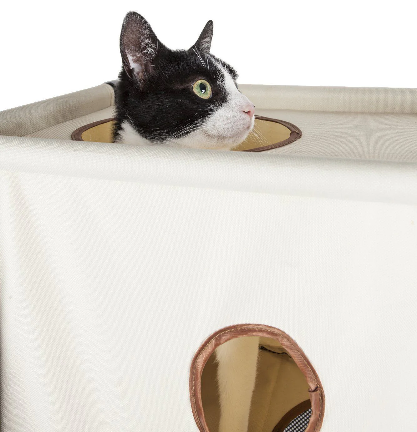 Pet Life ® 'Kitty-Square' Collapsible Travel Interactive Kitty Cat Tree Maze House Lounger Tunnel Lounge - Image 6