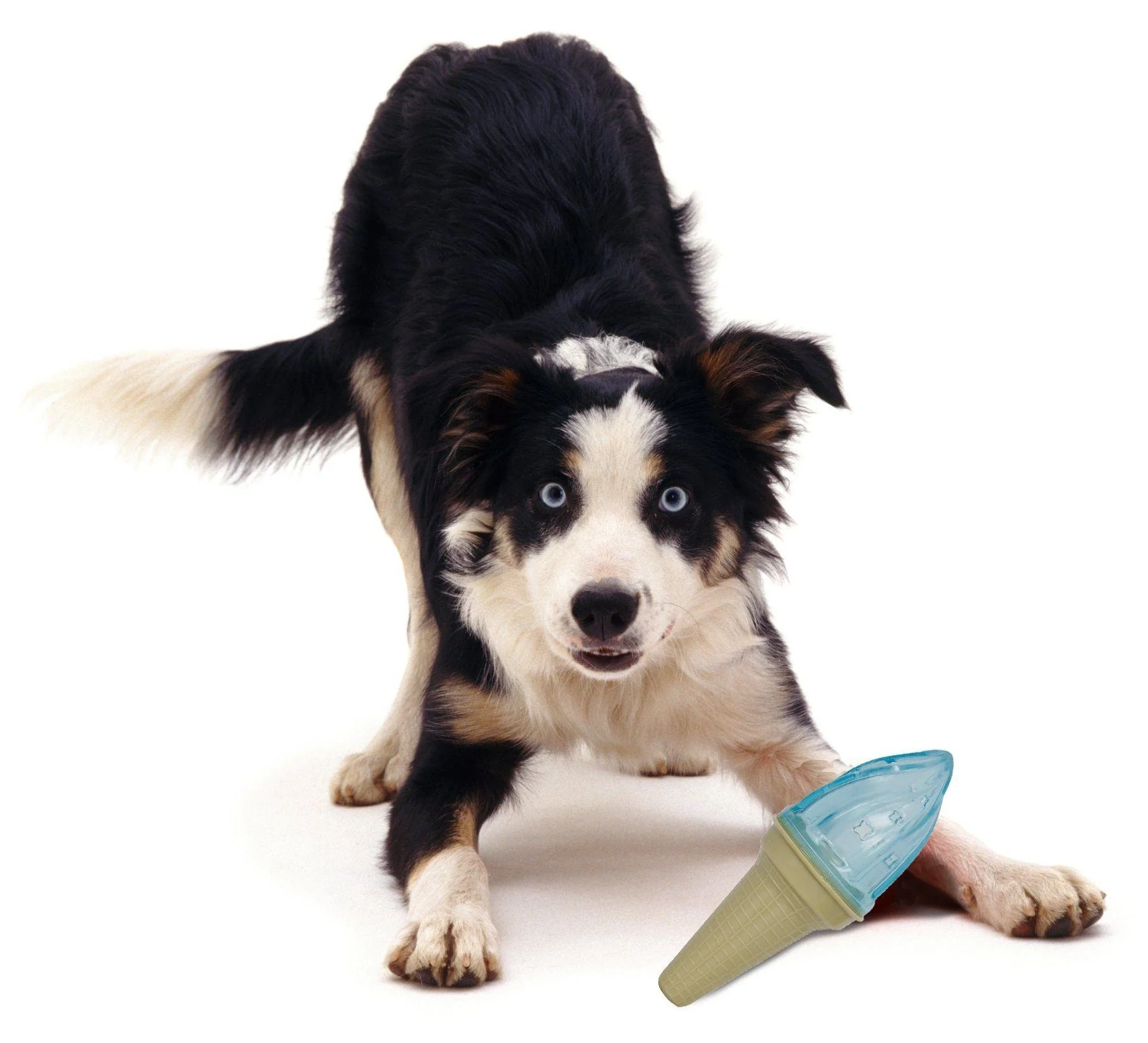 Pet Life ® 'Lick & Gnaw' Ice Cream Cone Freezable and Chewable Tossing Waterproof Floating Pet Dog Toy w/ Insertable Treat pocket - Image 4