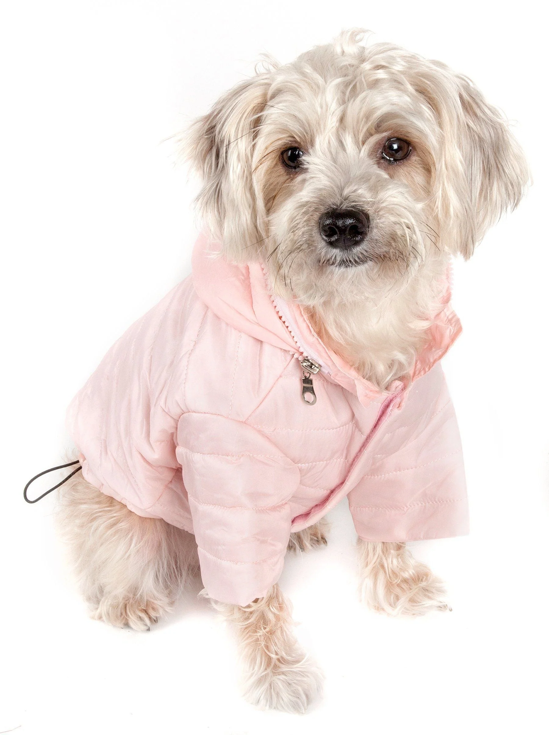 Pet Life ® Lightweight Adjustable and Collapsible 'Sporty Avalanche' Dog Coat w/ Pop-out Zippered Hood - Image 12